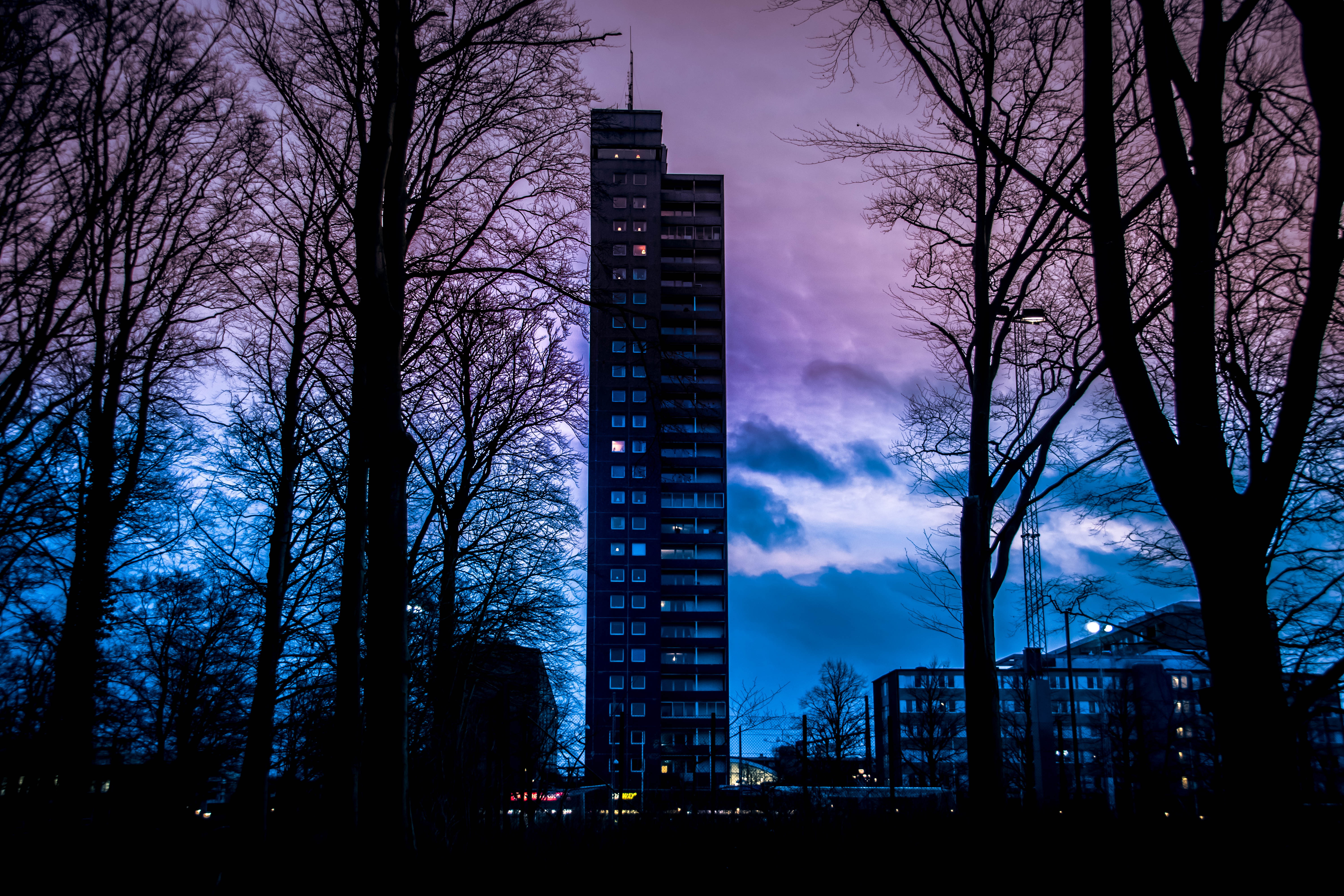 city, trees, building, Sweden, sunset, violet, 5K, evening, blue, HD Wallpaper