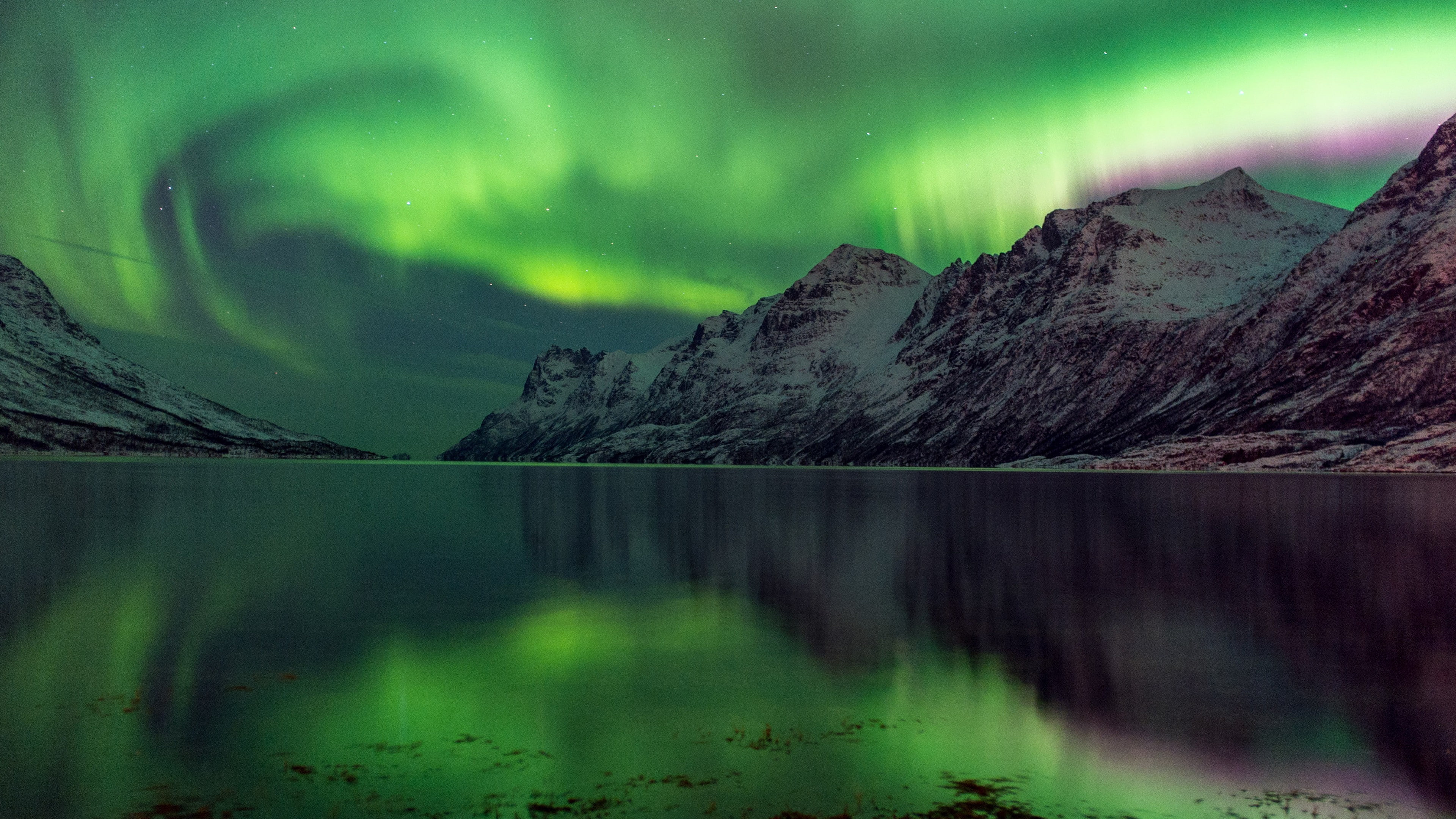 boreallis, green, Abisko, 5k, tourism, Aurora Borealis, lake, Sweden, 4K, National Park, travel, aurora, HD Wallpaper
