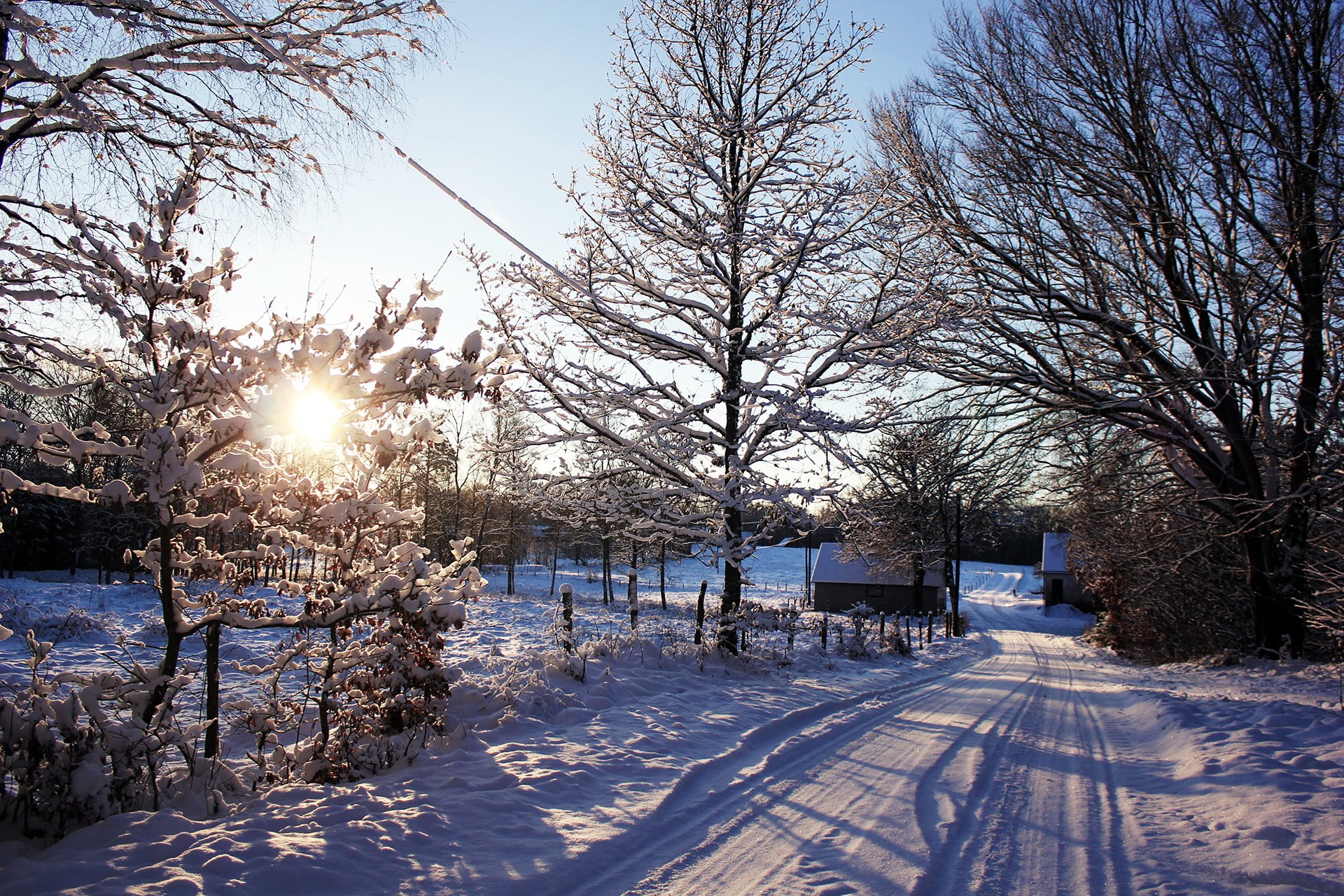environment, sky, frozen, no people, sunlight, sunset, day, outdoors, Sweden, lens flare, bare tree, sun, winter, tree, tranquil scene, white color, 1080P, HD Wallpaper