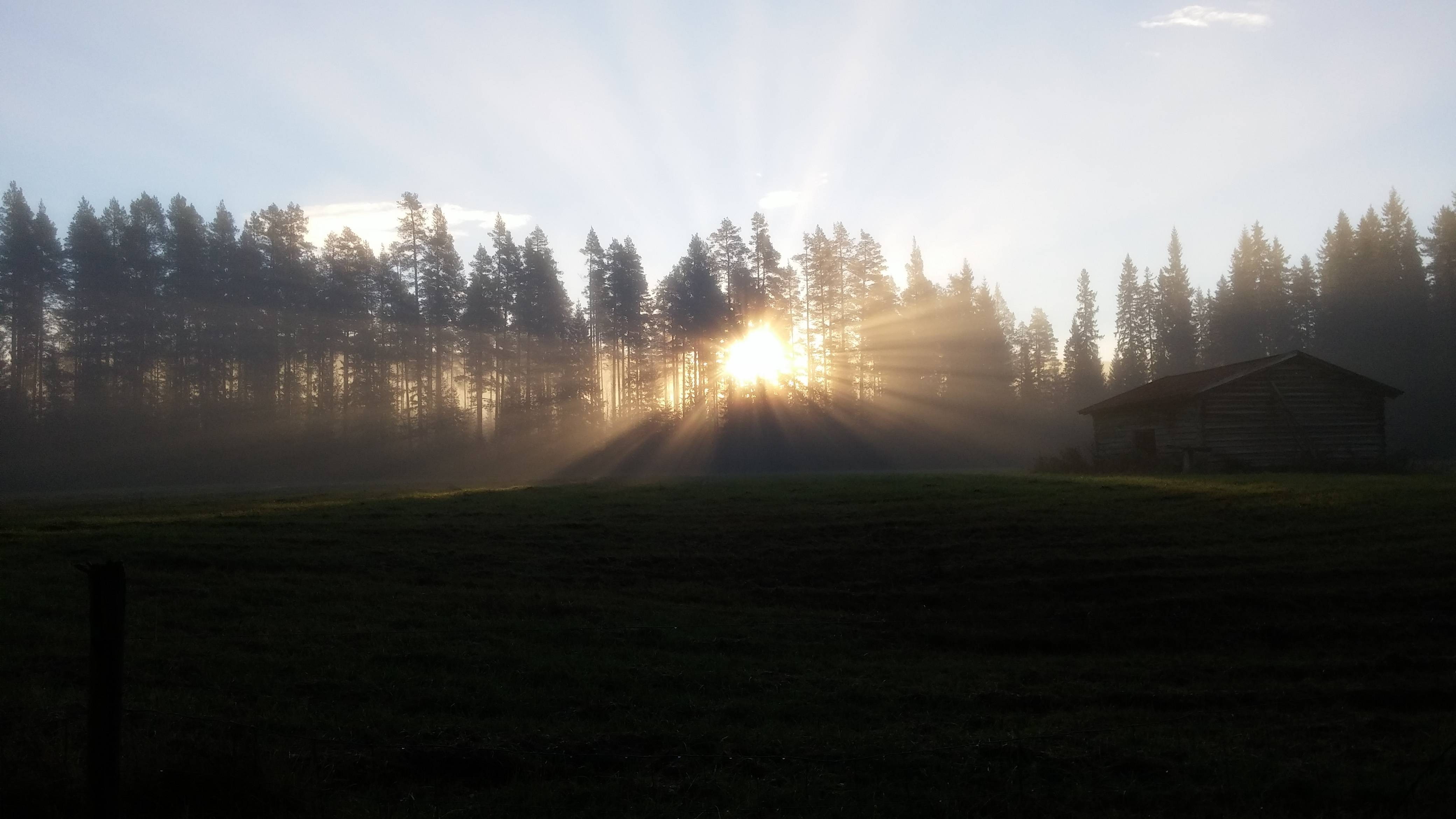 forest, sun, landscape, outdoors, sunlight, building exterior, field, built structure, scenics - nature, no people, beauty in nature, nature, Sweden, land, HD Wallpaper
