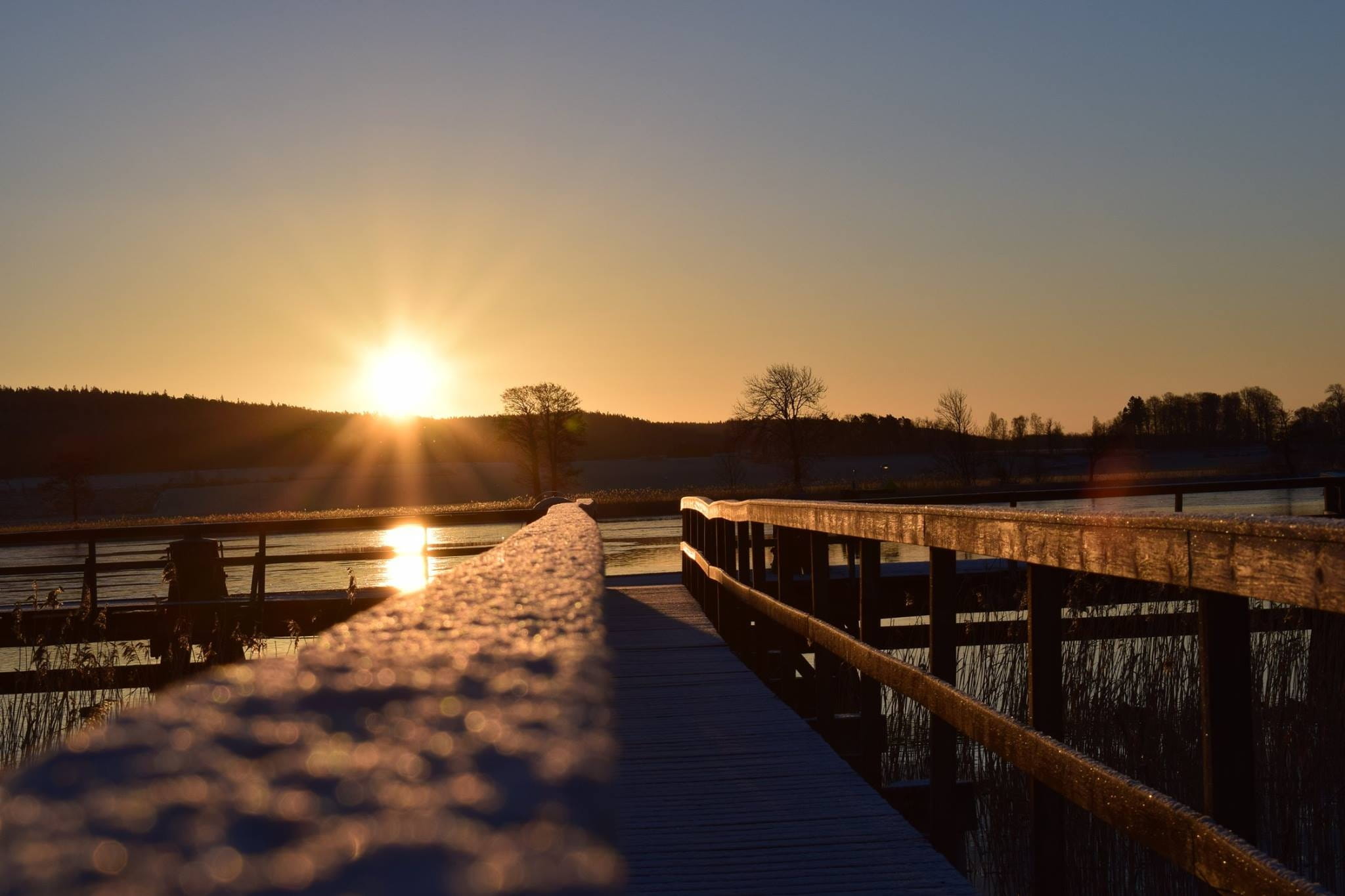 sunset, sweden, sun, Vänersborg, the starry night, reflection, tree, bright, vänersborg, Sweden, wood - material, railing, outdoors, lake, no people, river, HD Wallpaper