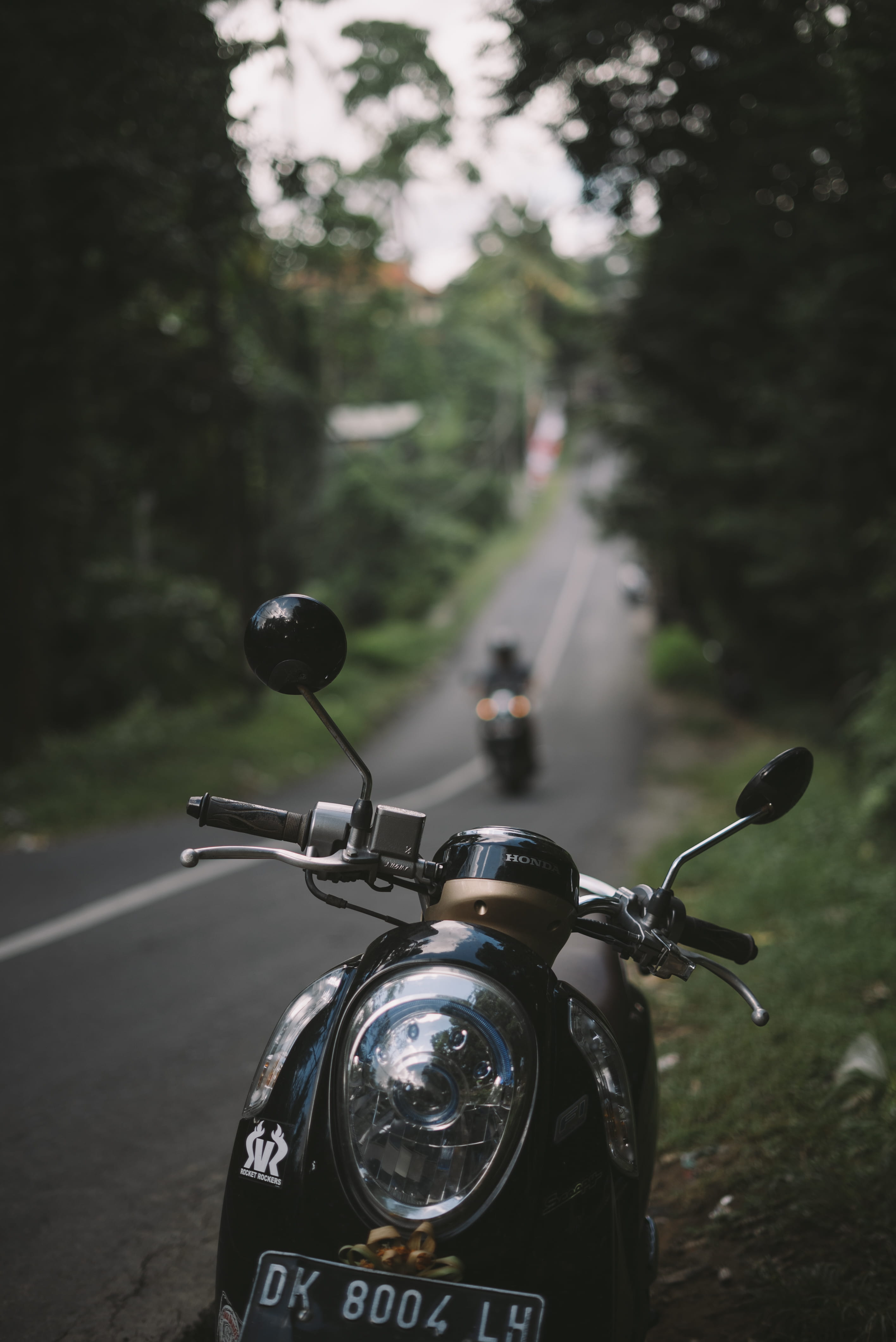 shot, green, street, forest, mode of transportation, headlight, motor, handle, sonyimage, day, route, sonyalpha, path, photography, black, indonesia, motorcycle, Phone HD Wallpaper