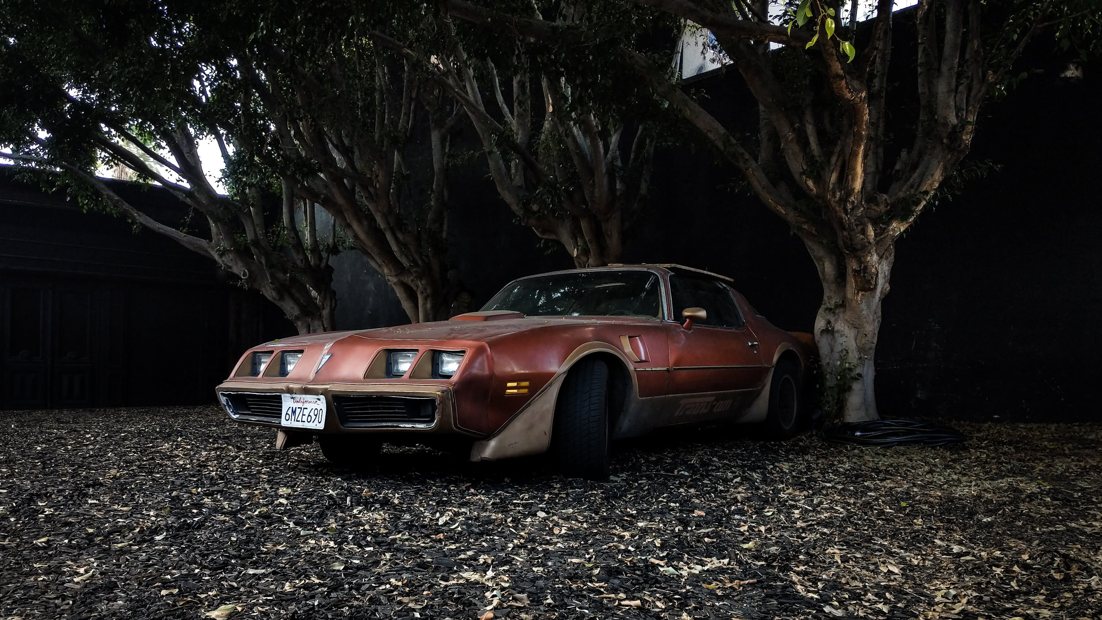 vintage, 2K, coupe, sports car, 733 n fairfax ave, mode of transportation, motor vehicle, license plate, pontiac, los angeles, firebird, nature, tree trunk, HD Wallpaper