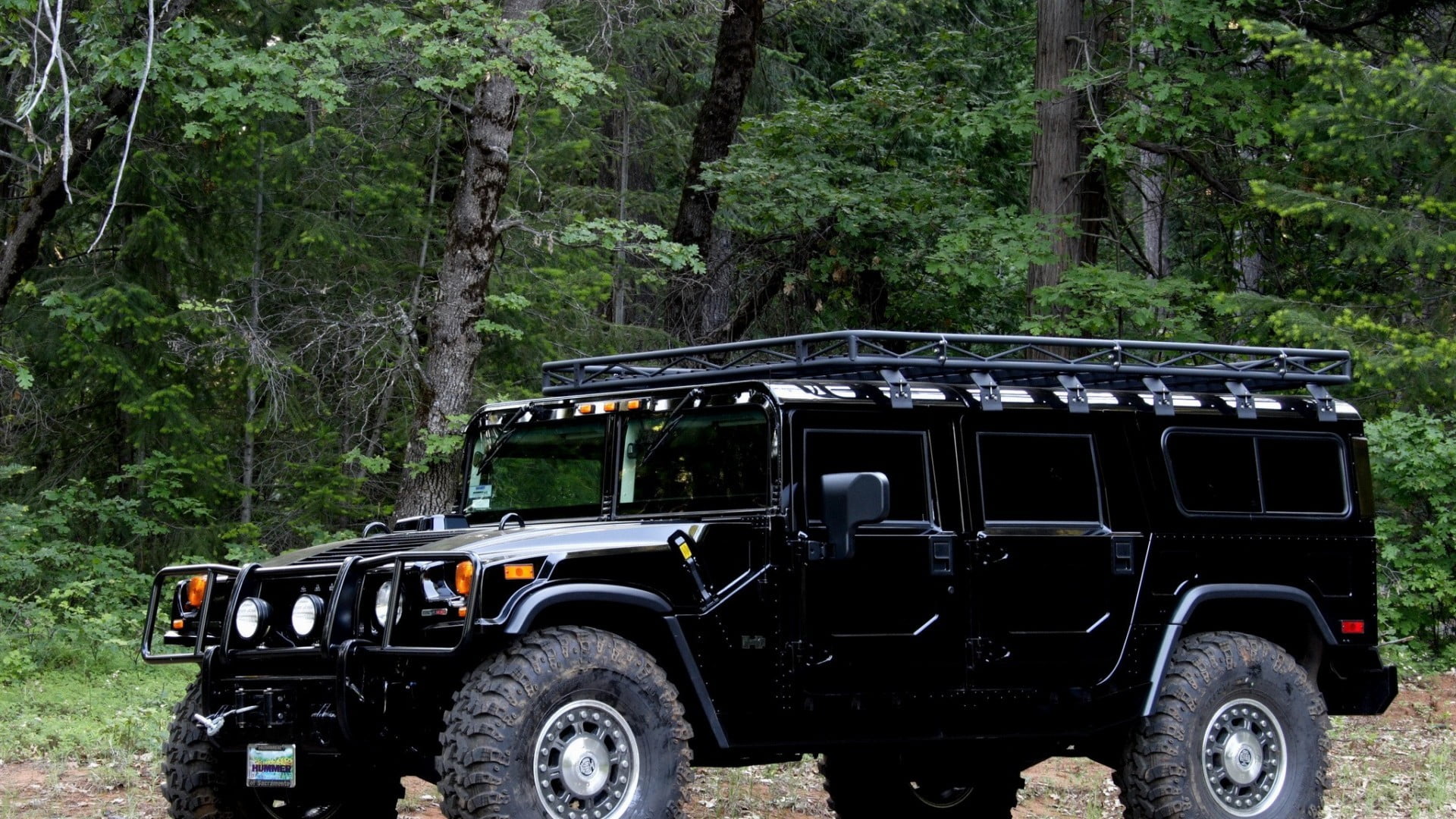 abandoned, 1080P, plant, forest, land vehicle, nature, no people, jeep, day, transportation, tree, mode of transportation, stationary, motor vehicle, gray, HD Wallpaper