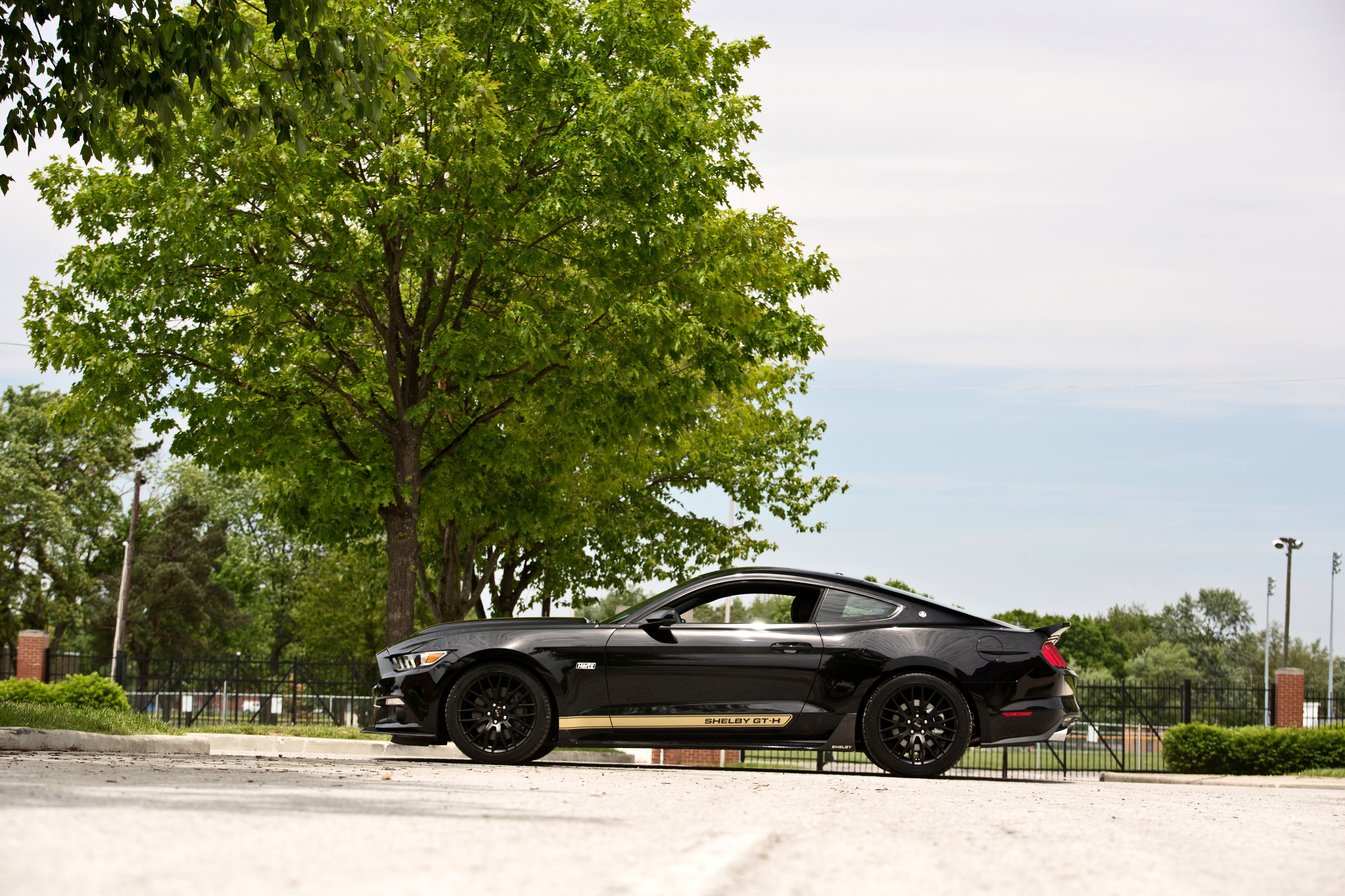 touring, ford, hertz, usa, shelby, muscle, 2016, gt-h1, pro, 5K, mustang, supercar, HD Wallpaper