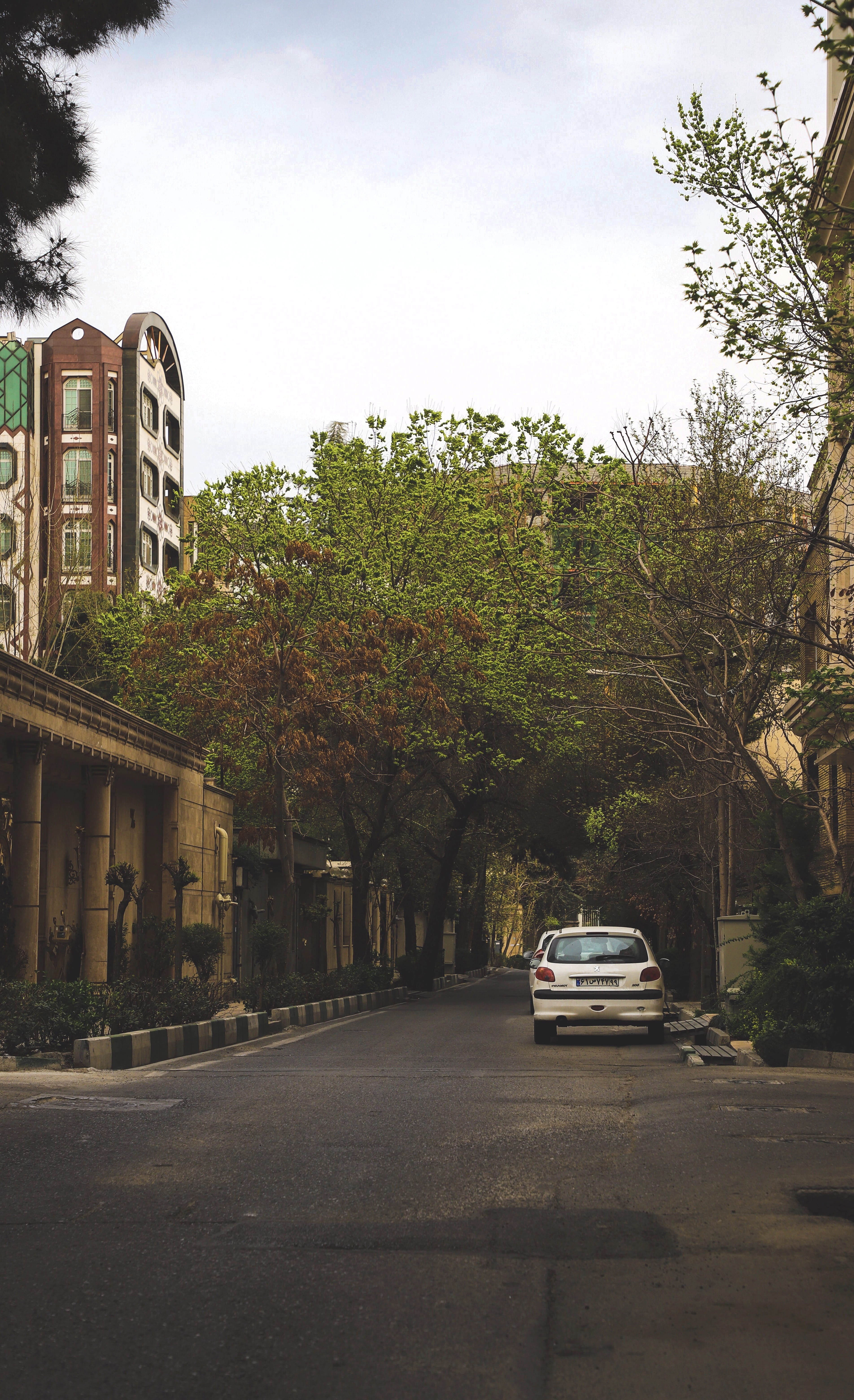 motor vehicle, growth, no people, iran, outdoors, tehran, building exterior, road, architecture, building, farmanieh, street, city, plant, 5K, day, built structure, Phone HD Wallpaper