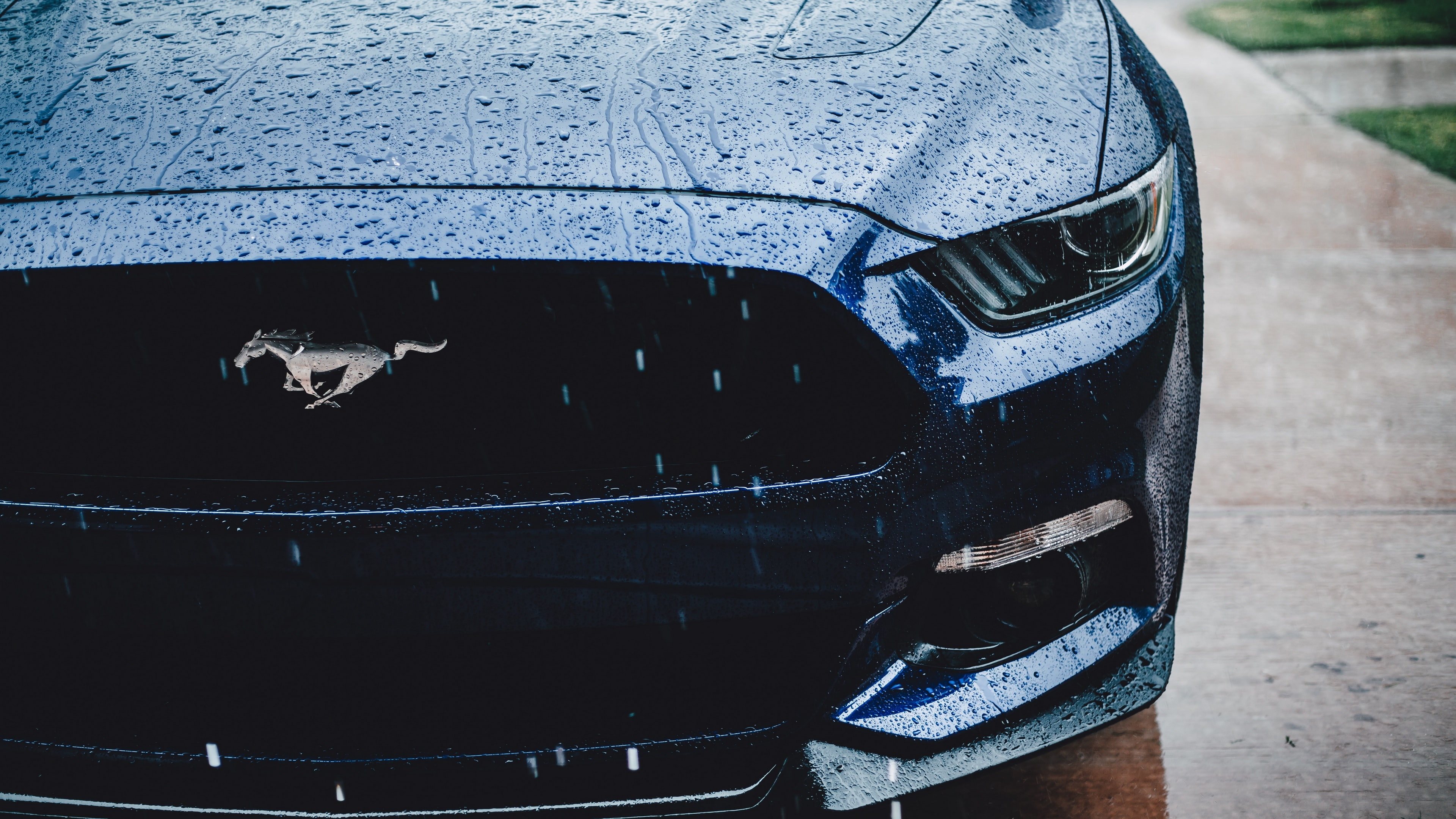 automotive exterior, 4K, raindrops, headlamp, black car, photography, wet, car, rain, ford mustang, HD Wallpaper