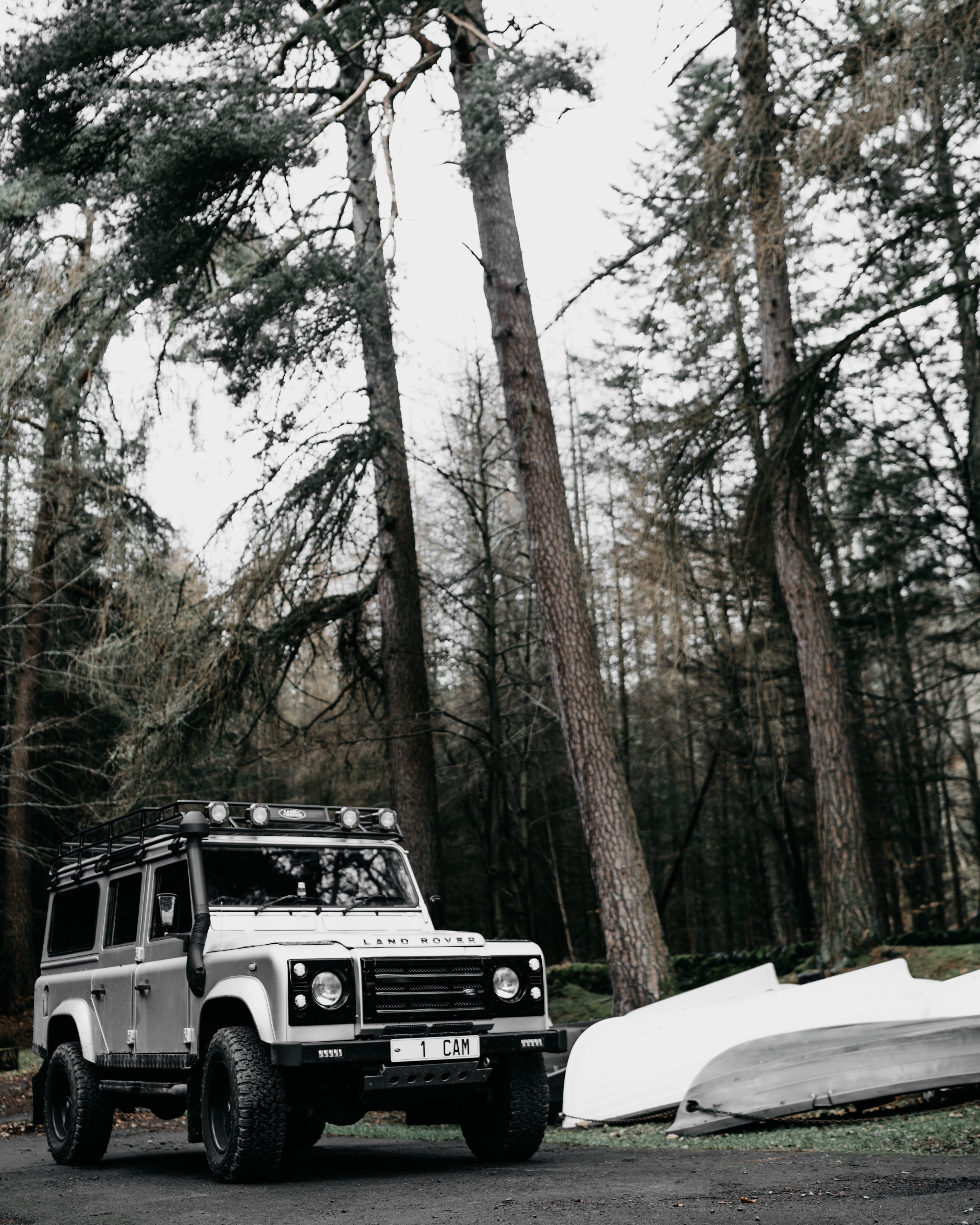 outdoors, mode of transportation, abies, branch, machine, spoke, road, nature, jeep, forest, bush, alloy wheel, plant, offroad, vehicle, trunk, tranquility, Phone HD Wallpaper
