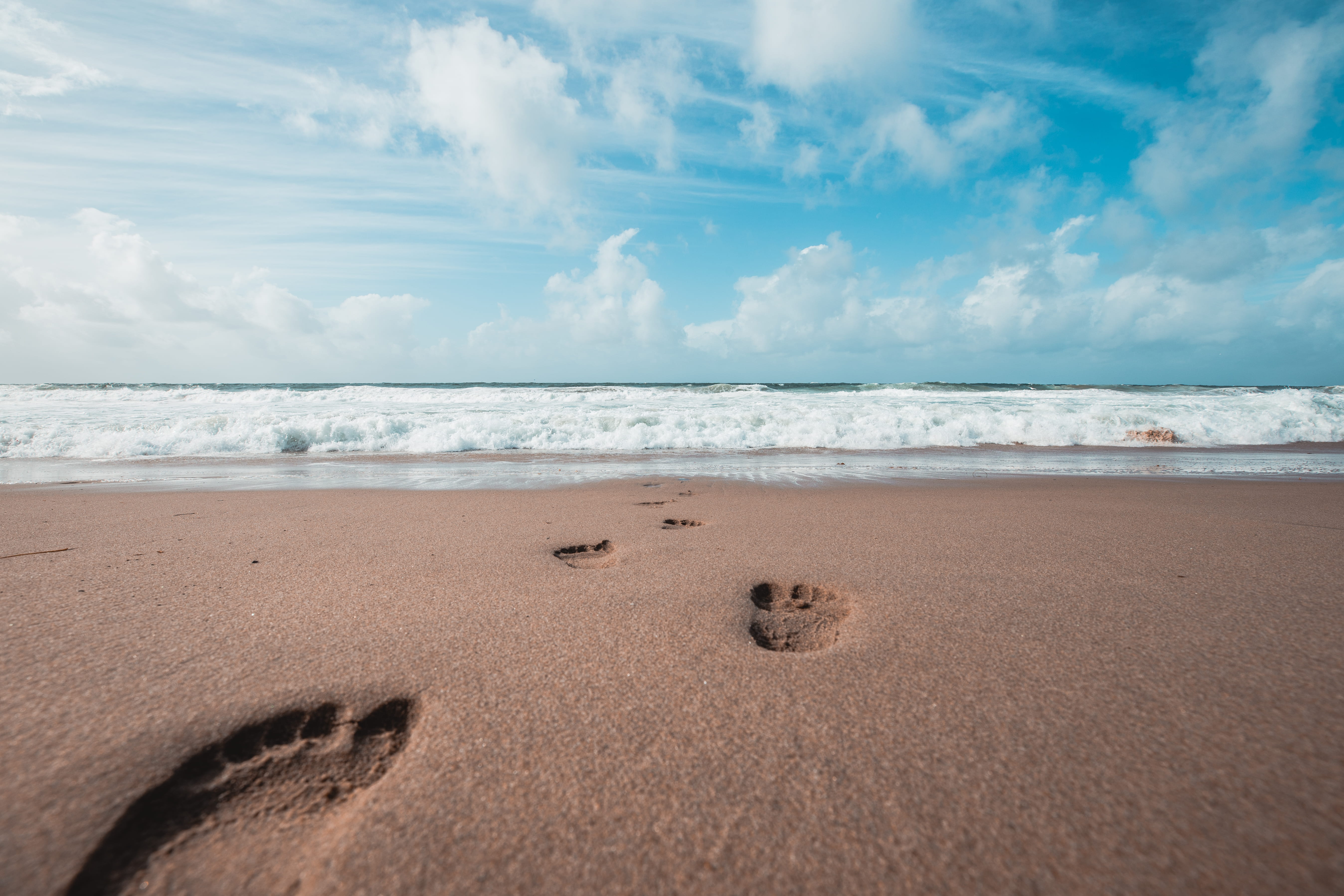 animal, hole, sand, sky, promontory, day, water, ocean, horizon over water, wave, horizon, no people, print, sea, motion, barefoot, foot, bird, roof rack, HD Wallpaper