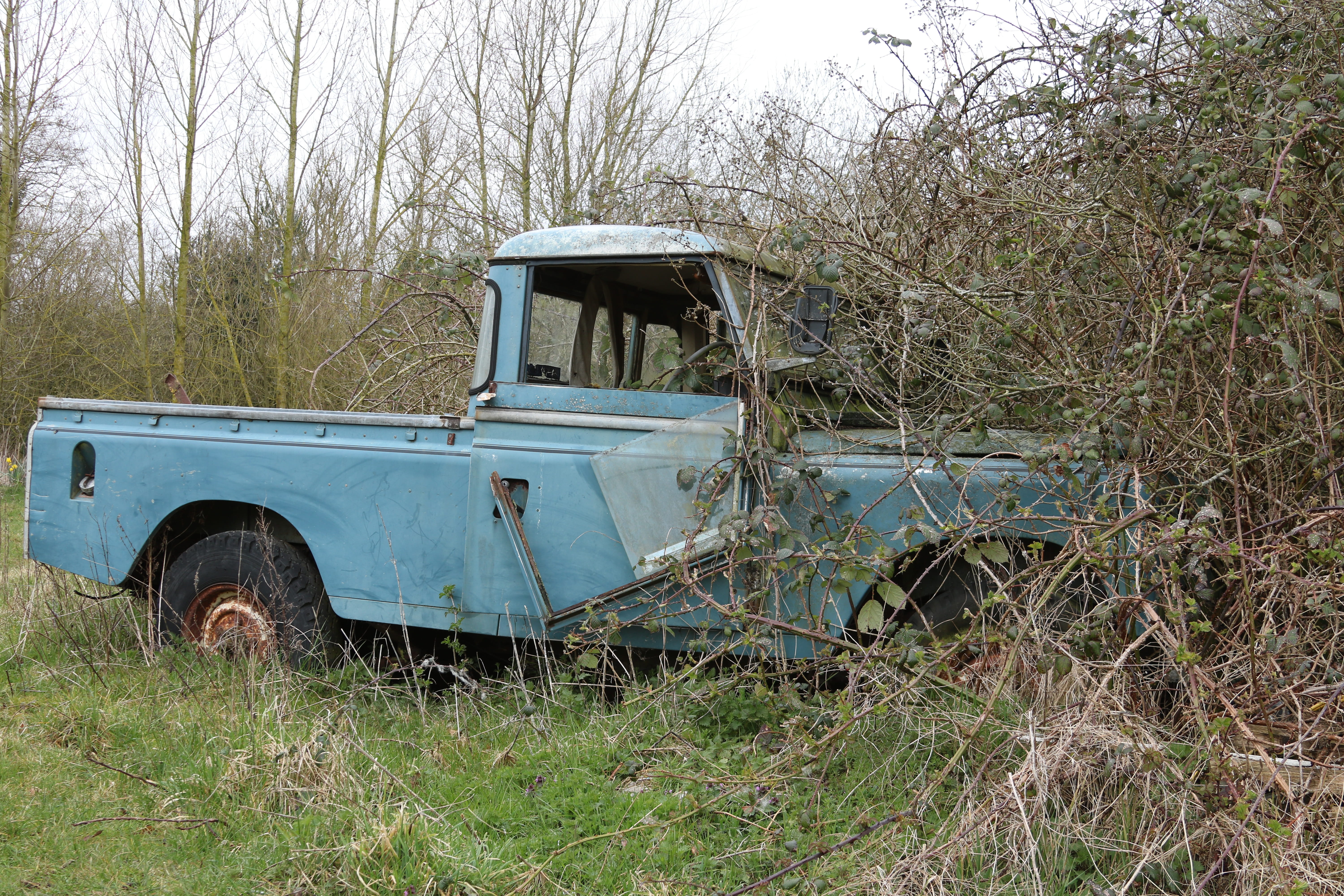 land, car, vehicle, side view, no people, Old Car, bush, 4x4, extreme, day, old, nature, transportation, old land rover, damaged, Land Rover, deterioration, HD Wallpaper