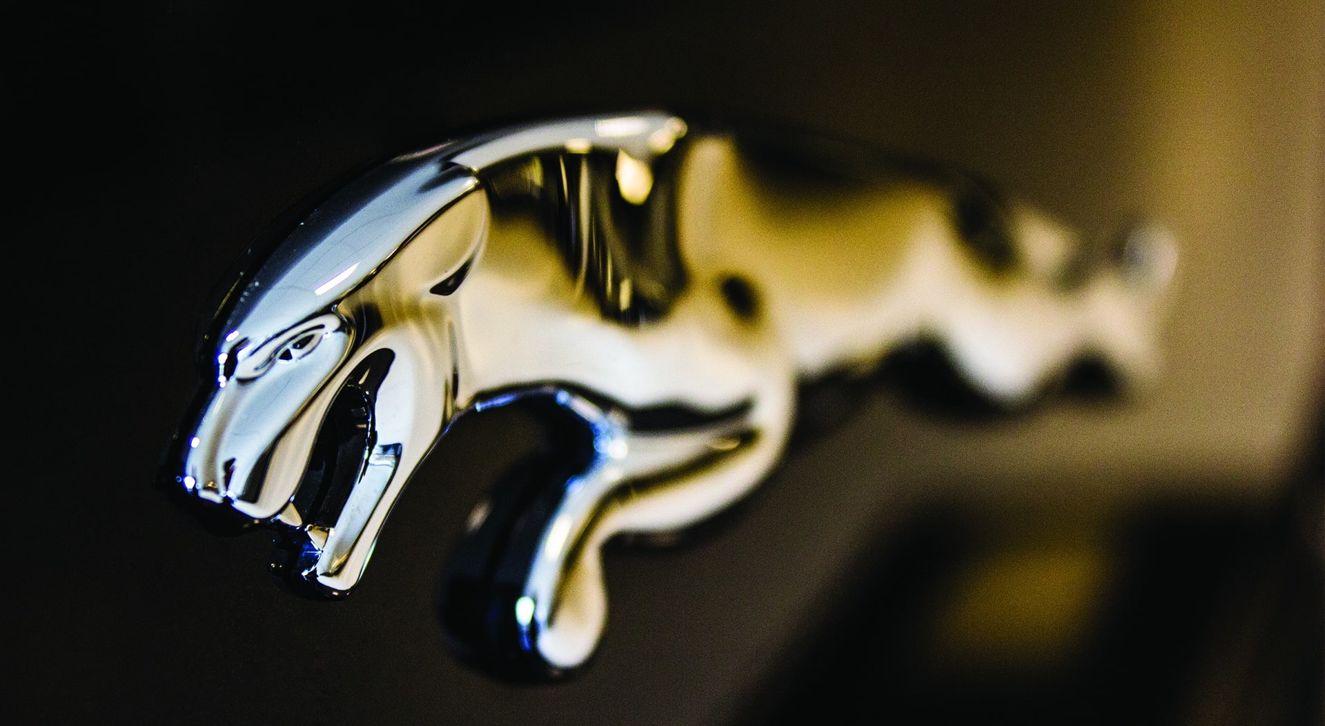 1080P, pattern, shiny, reflective, food and drink, car, emblem, focus on foreground, still life, Jaguar, jaguar xj, steel, Cars, studio shot, animal, logo, HD Wallpaper