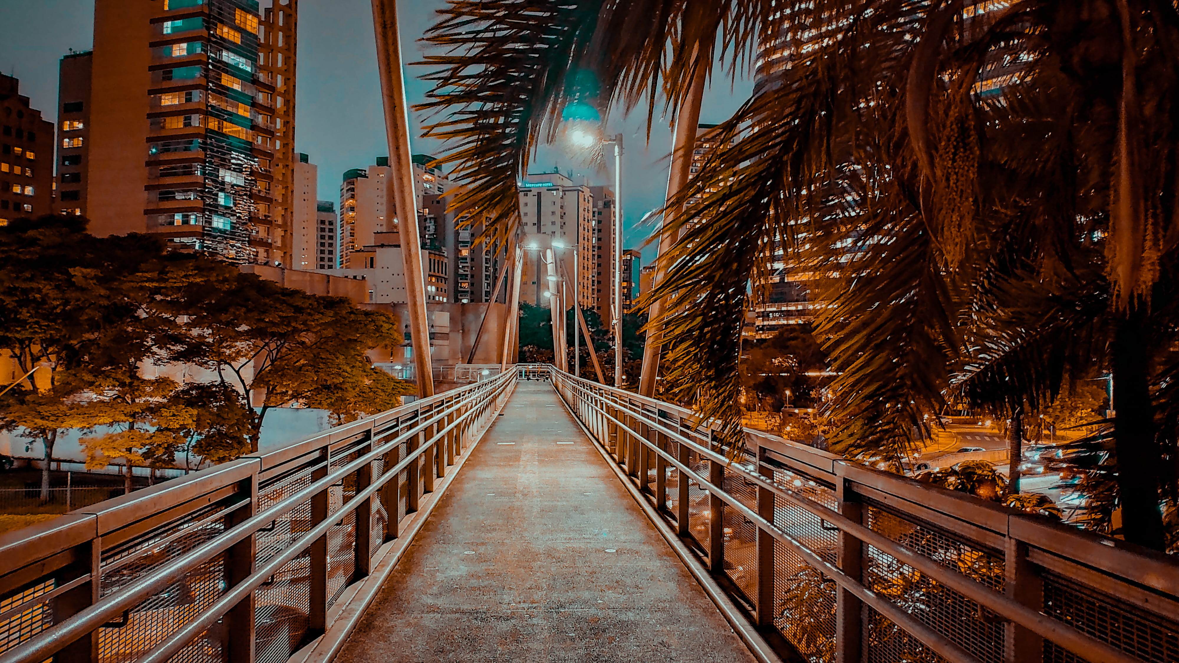 plant, banister, city, the way forward, 4K, night, direction, office building exterior, path, bridge, town, brazil, nature, moema, building exterior, r. minas de prata, HD Wallpaper