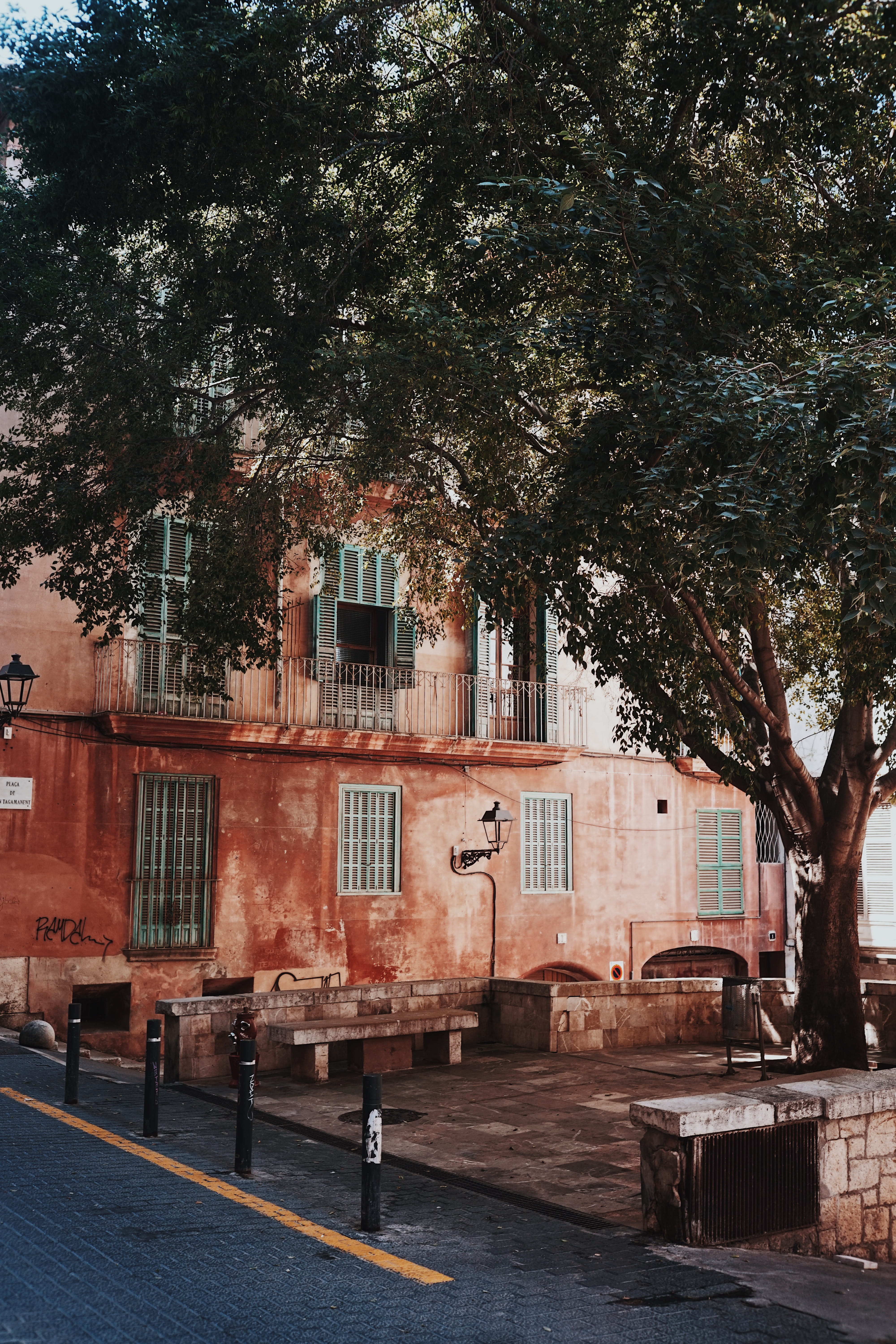 tree, plant, rural, 5K, day, architecture, sunlight, van, footpath, shelter, palma, nature, countryside, no people, building exterior, shutter, street, Phone HD Wallpaper