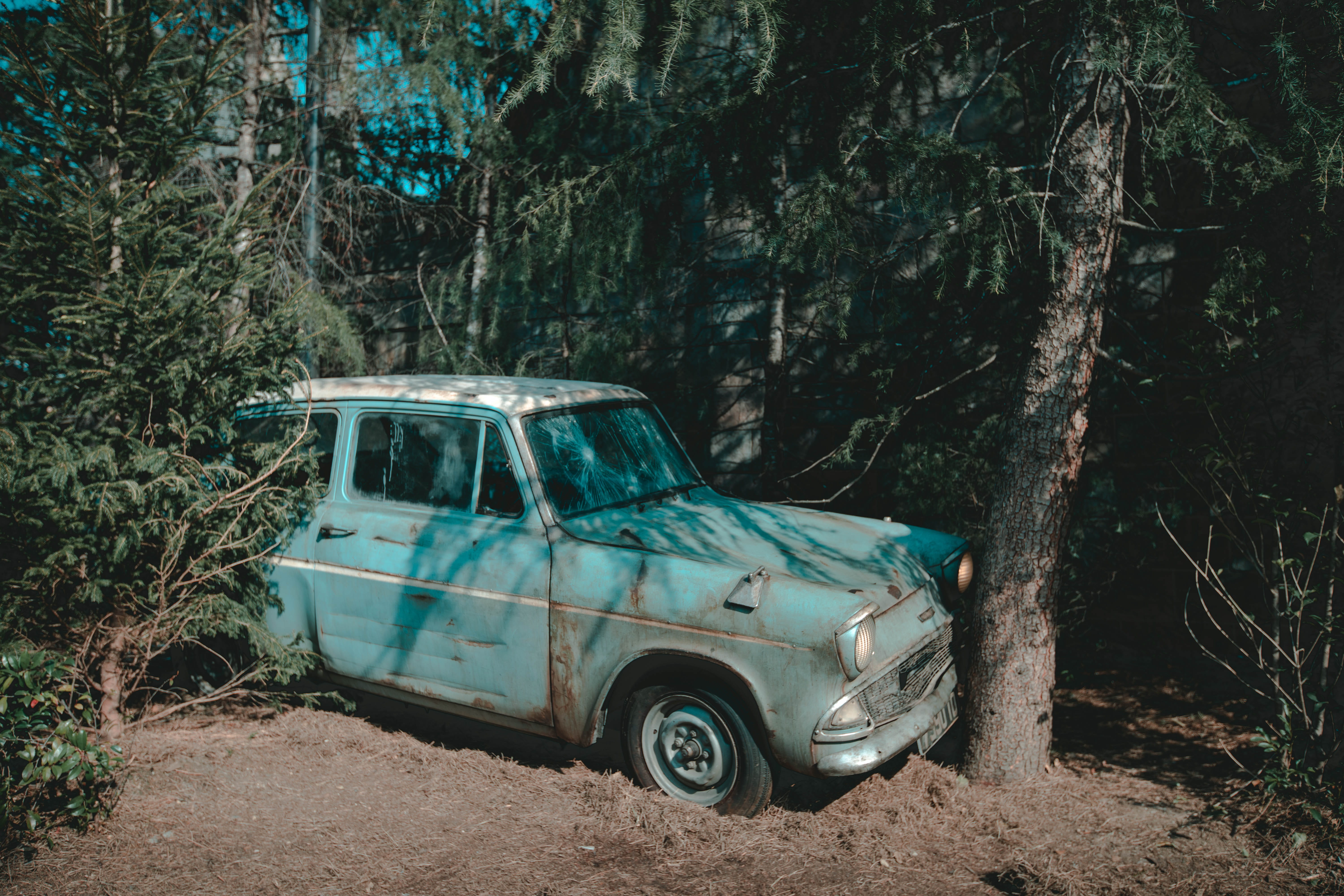 5K, tire, wheel, no people, car, truck, damaged, van, harry potter, obsolete, parked, decline, woodland, dirt road, transportation, abandoned, tree, forest, HD Wallpaper