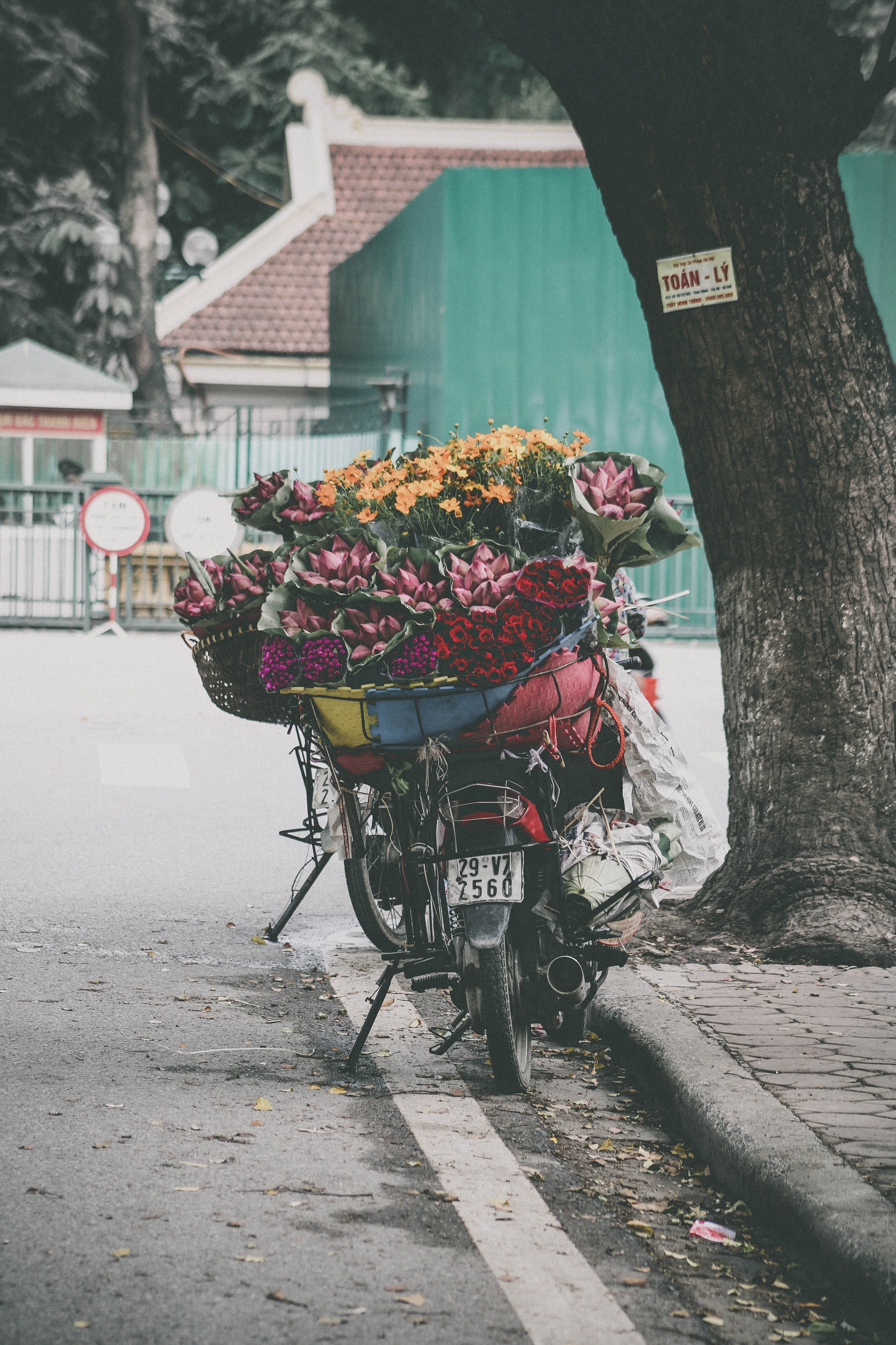 red, lot, no people, top, color, land vehicle, motorcycle, roses, transportation, 5K, street, flower, flowers, yellow, city, flowering plant, bundle, road, Phone HD Wallpaper