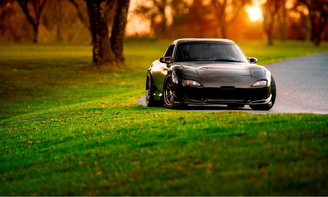 tire, tree, outdoors, transportation, sports utility vehicle, land vehicle, field, sunlight, no people, 720P, selective focus, mode of transportation, HD Wallpaper