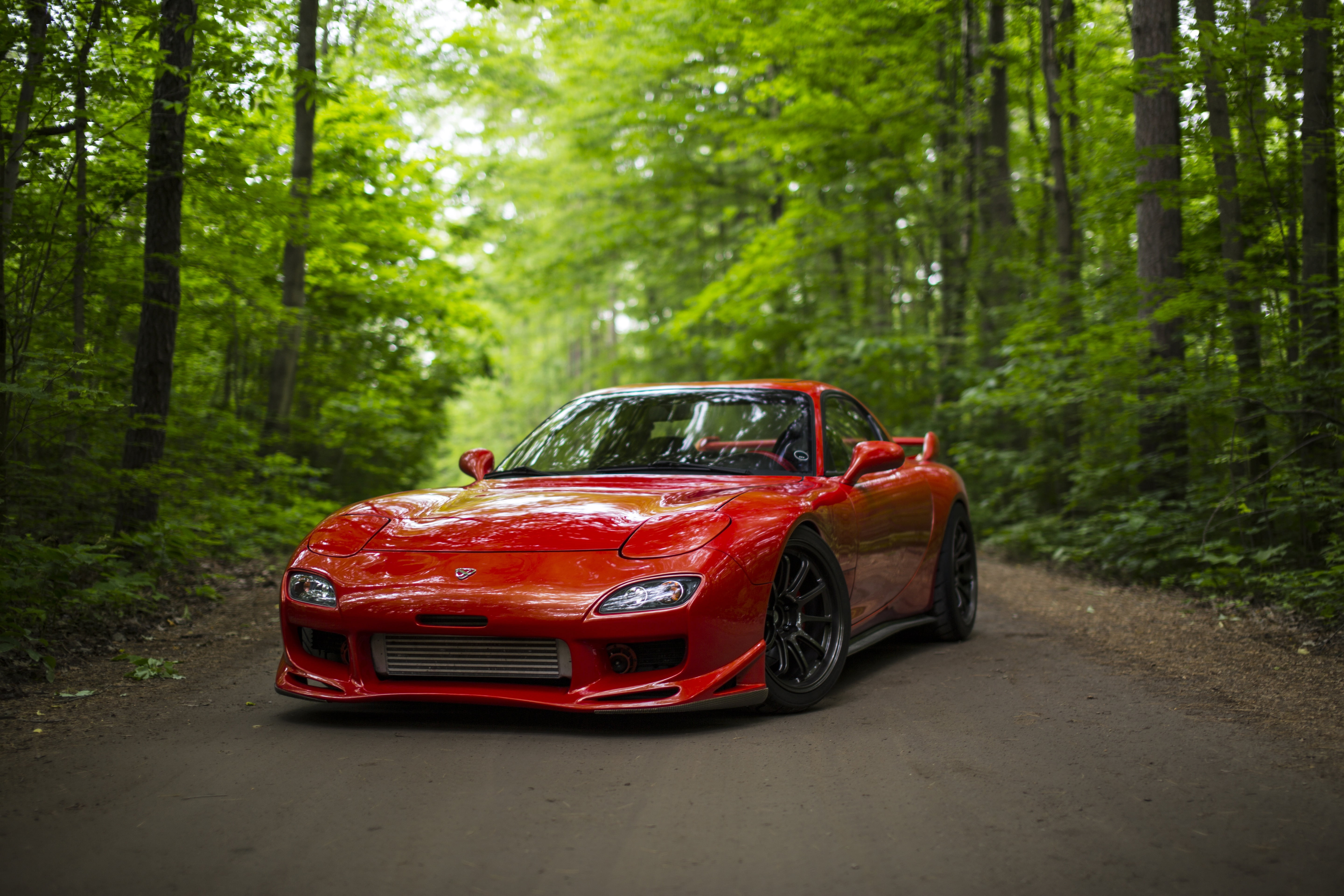 day, red, no people, road, land, land vehicle, motor vehicle, nature, Mazda RX-7, woodland, 5K, focus on foreground, car, tree, travel, road trip, sports car, HD Wallpaper