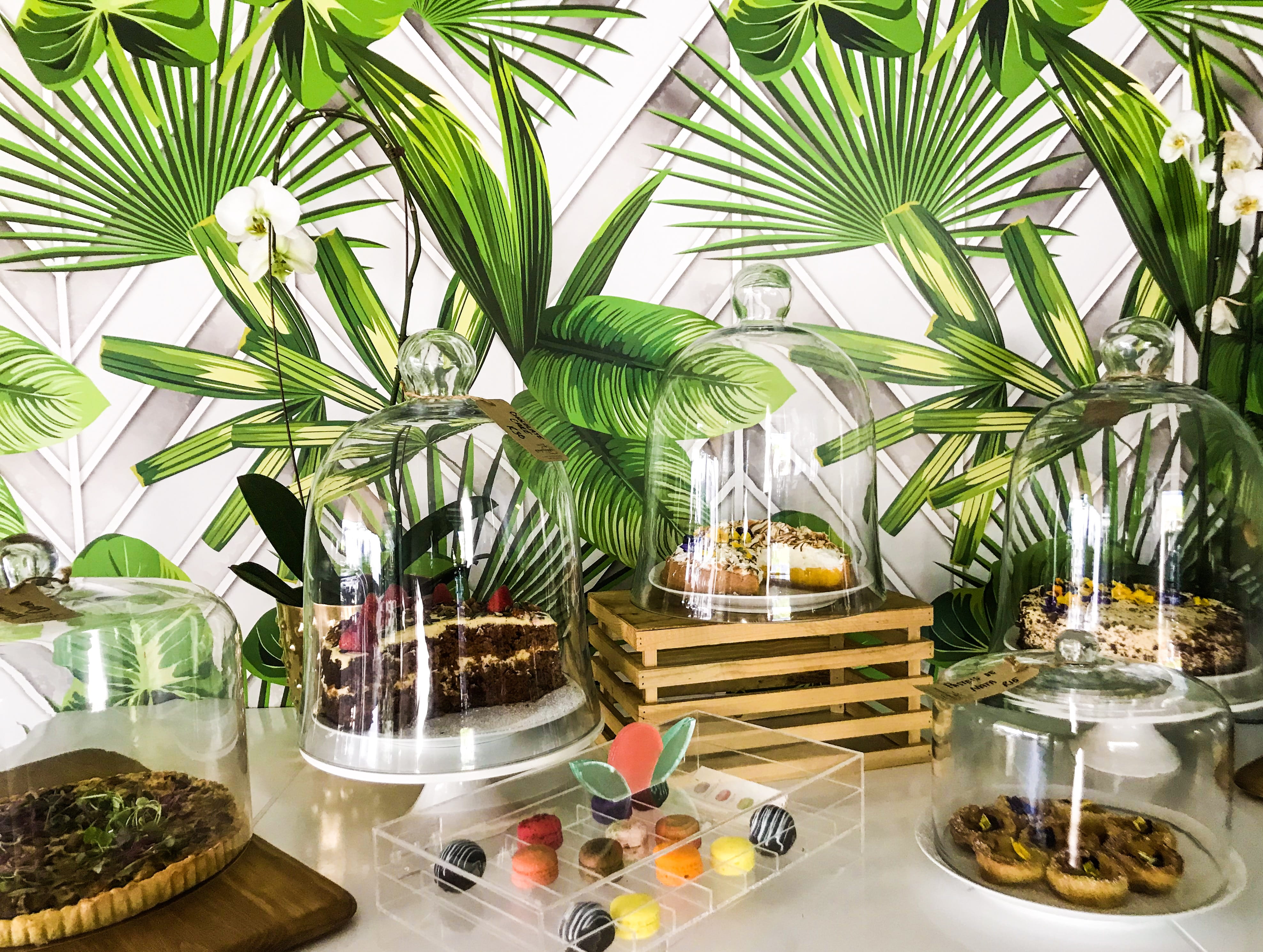 color, glass, garden, orchids, choice, plants, south africa, forest, glass - material, container, plant, nature, green color, indoors, decal, still life, HD Wallpaper