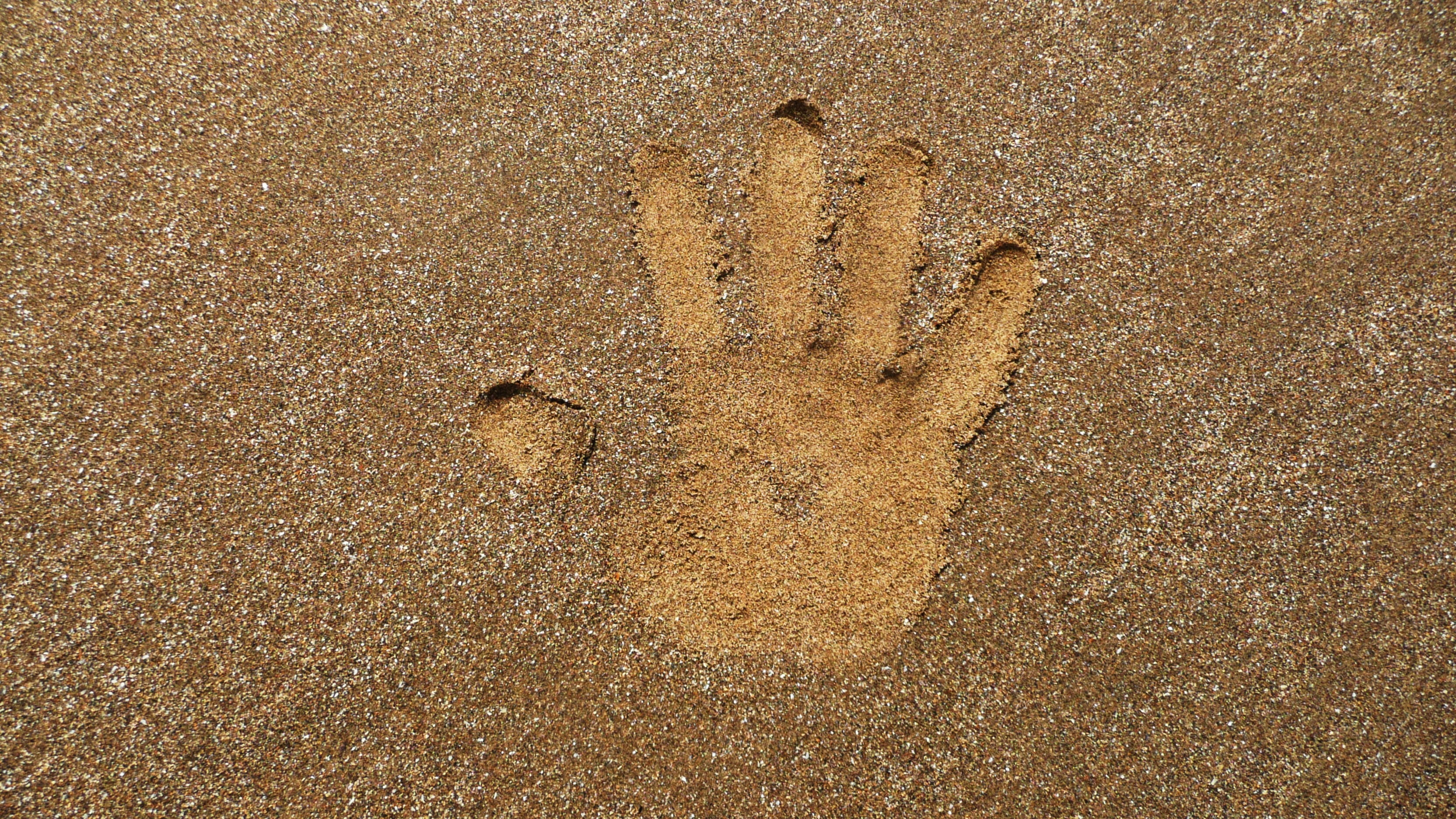 footprint, full frame, print, backdrop, animal track, directly above, imprint, no people, land, printed, child, 2K, palm, summer, sea, textured, brown, HD Wallpaper