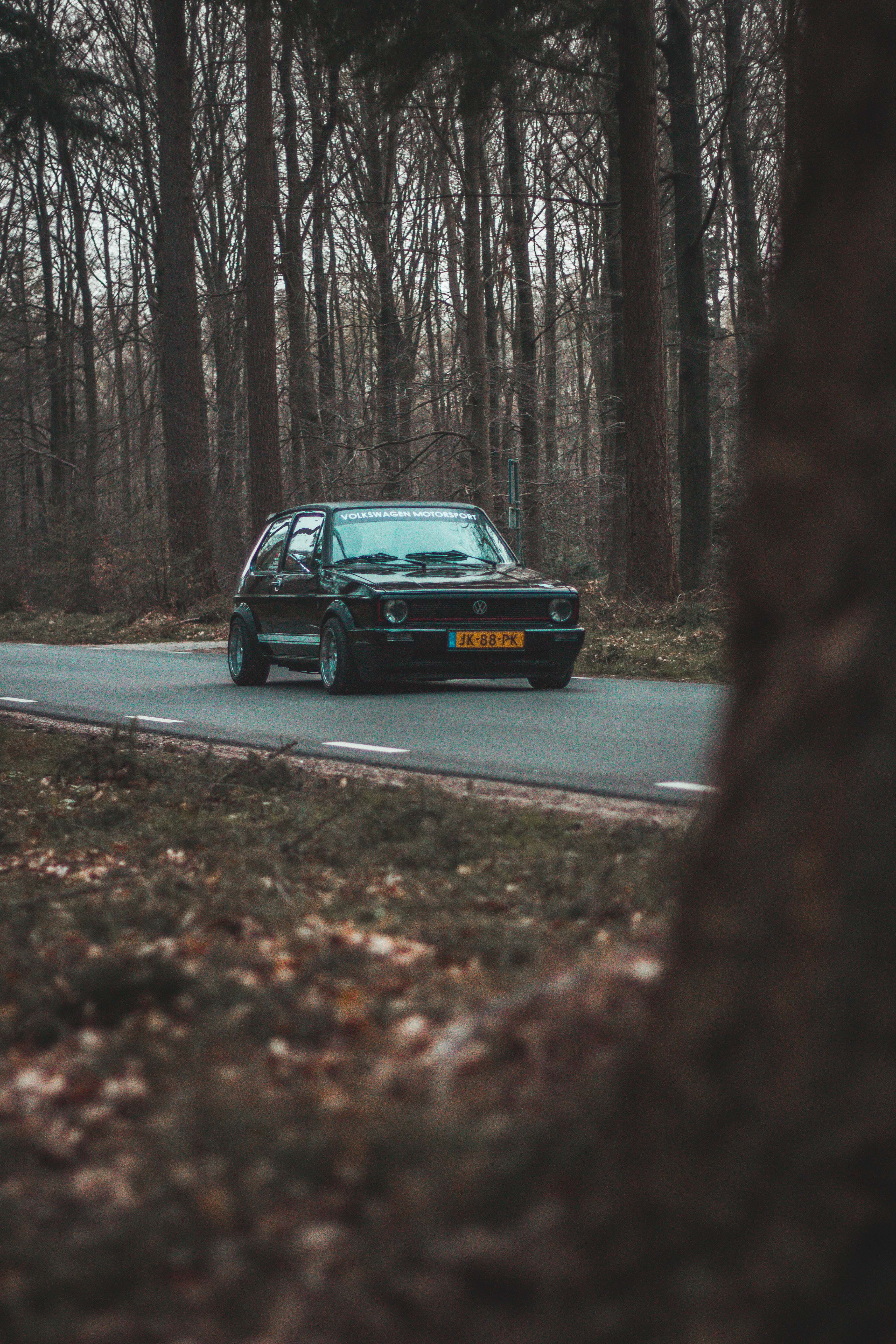 volkswagen golf 1, nature, no people, 5K, trunk, mode of transportation, plant, selective focus, golf 1, tree, trees, day, black, motor vehicle, land vehicle, Phone HD Wallpaper