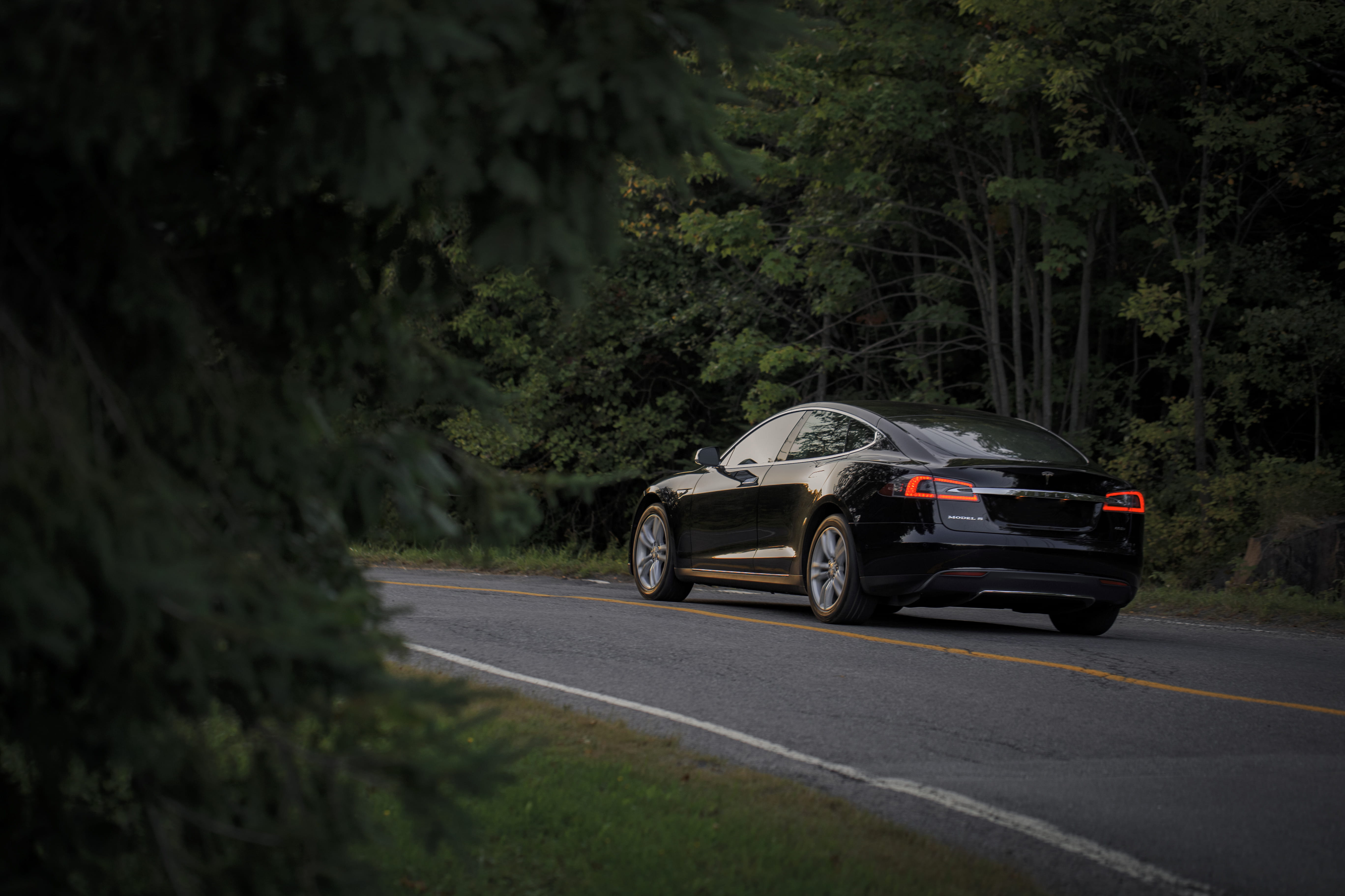 adventure, environment, black, transportation, vehicle, drive, land Vehicle, tire, 5K, motor Vehicle, black Color, modern, tesla, engine, forest, power, HD Wallpaper