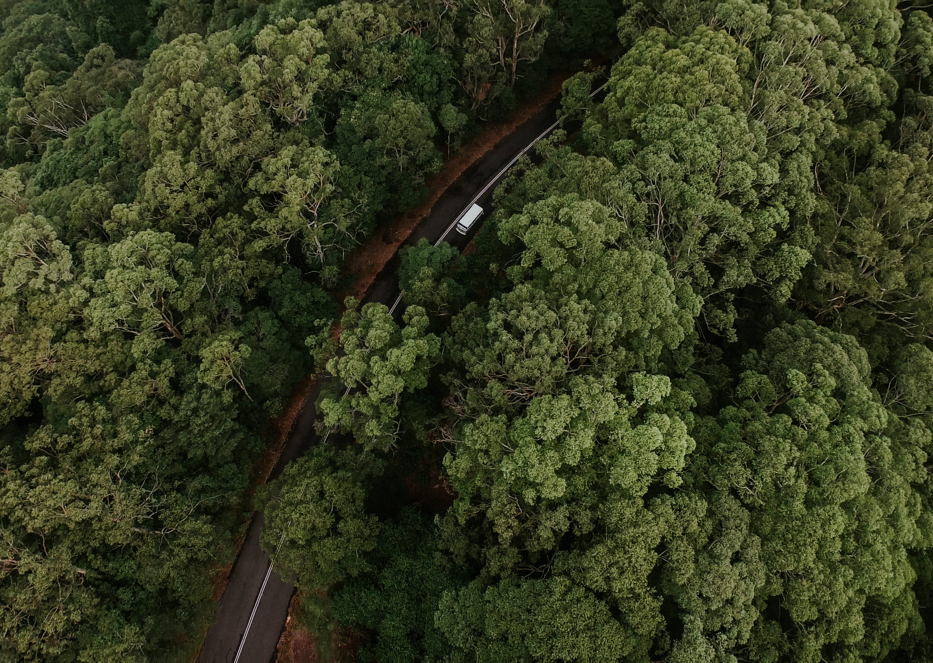 transportation, volkswagon, green Color, landscape, vehicle, summer, outdoors, travel, 2K, plant, nature, road trip, backgrounds, photography, street, HD Wallpaper