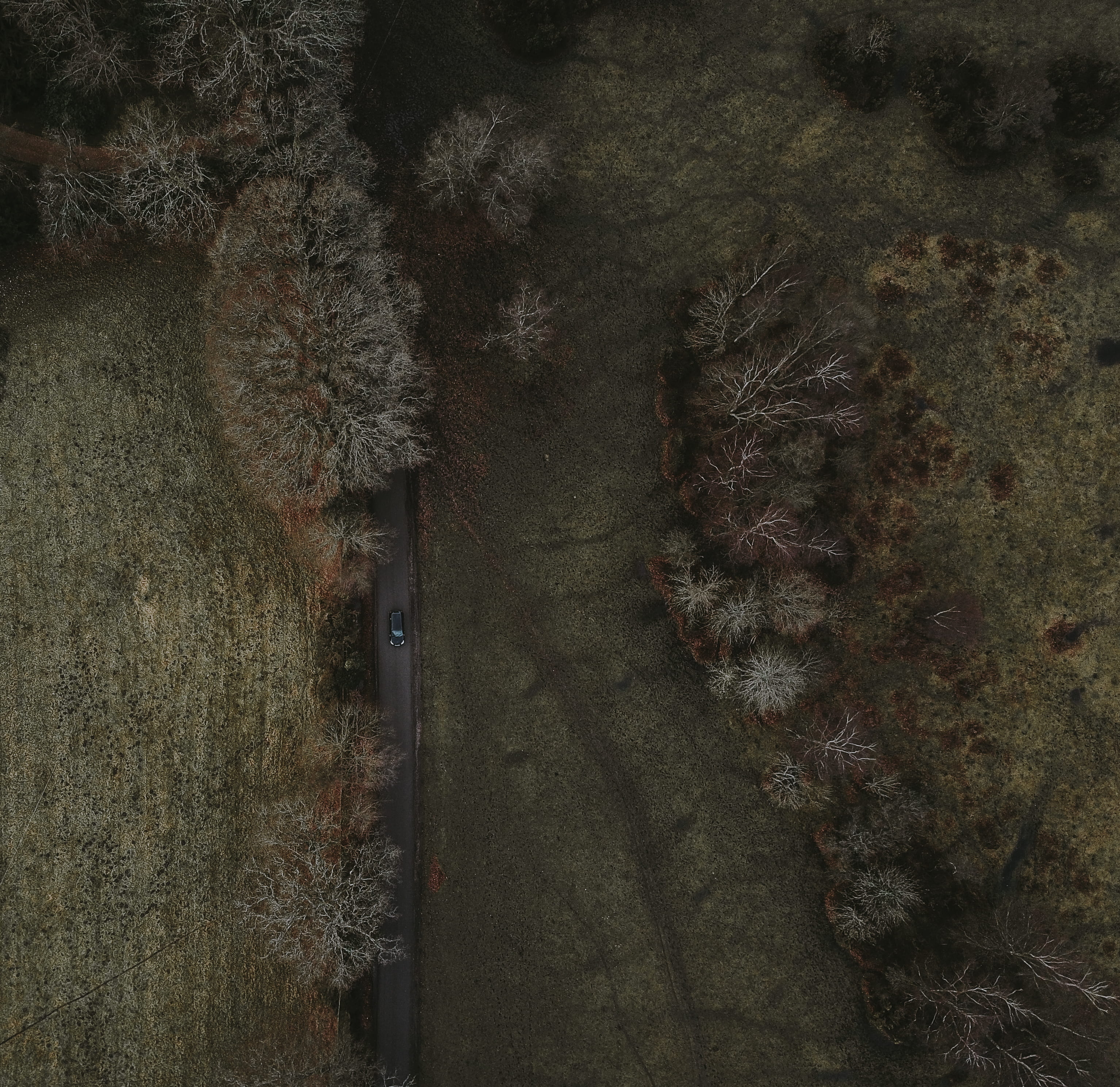 black, outdoors, branch, tree, architecture, woodland, transportation, aerial, car, from above, street, field, no people, forest, built structure, aerial view, HD Wallpaper