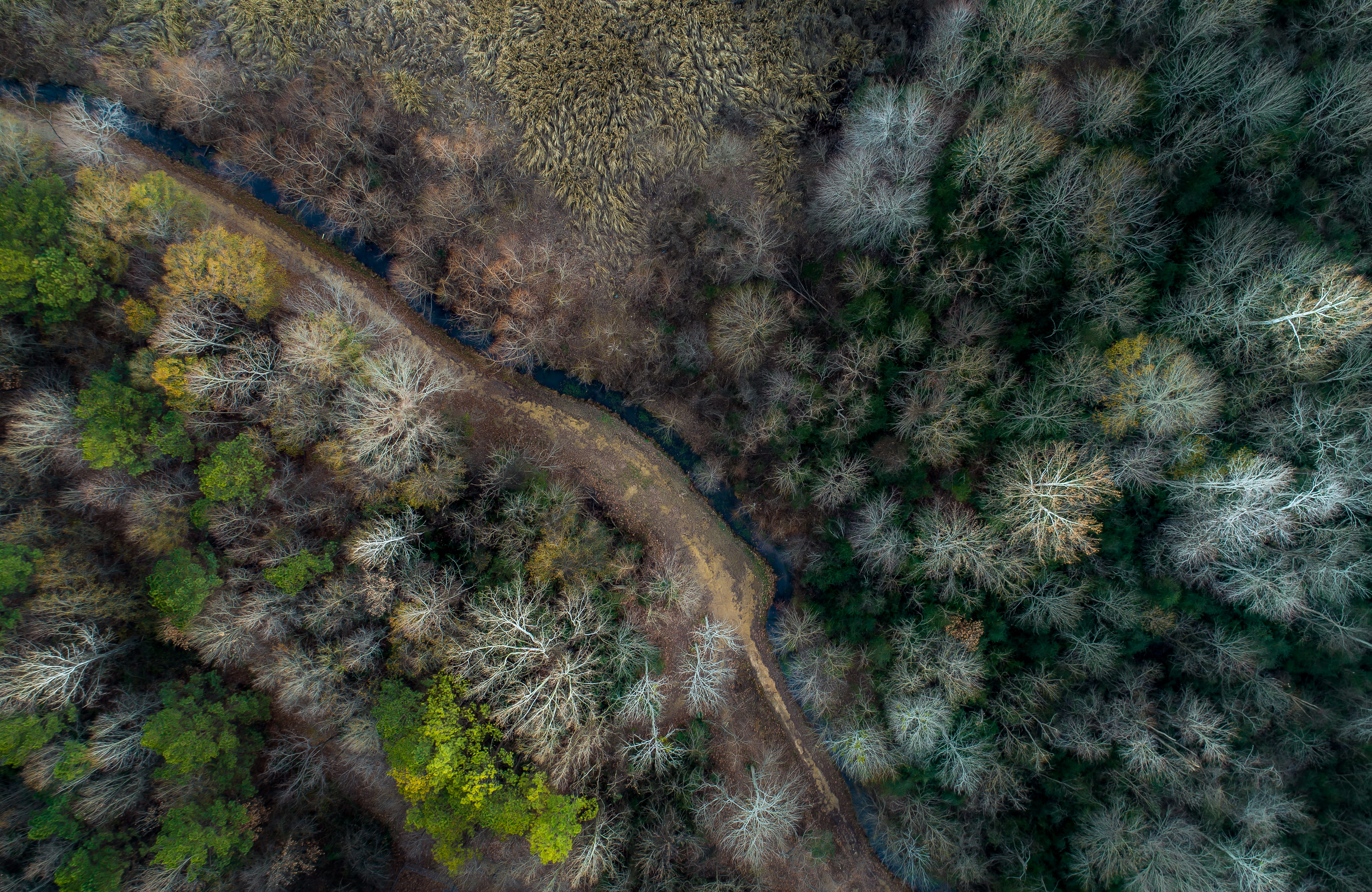 environment, arid climate, phantom 4 pro, tranquility, forest, tranquil scene, no people, green, photography, 5K, drone view, river, top view, landscape, HD Wallpaper
