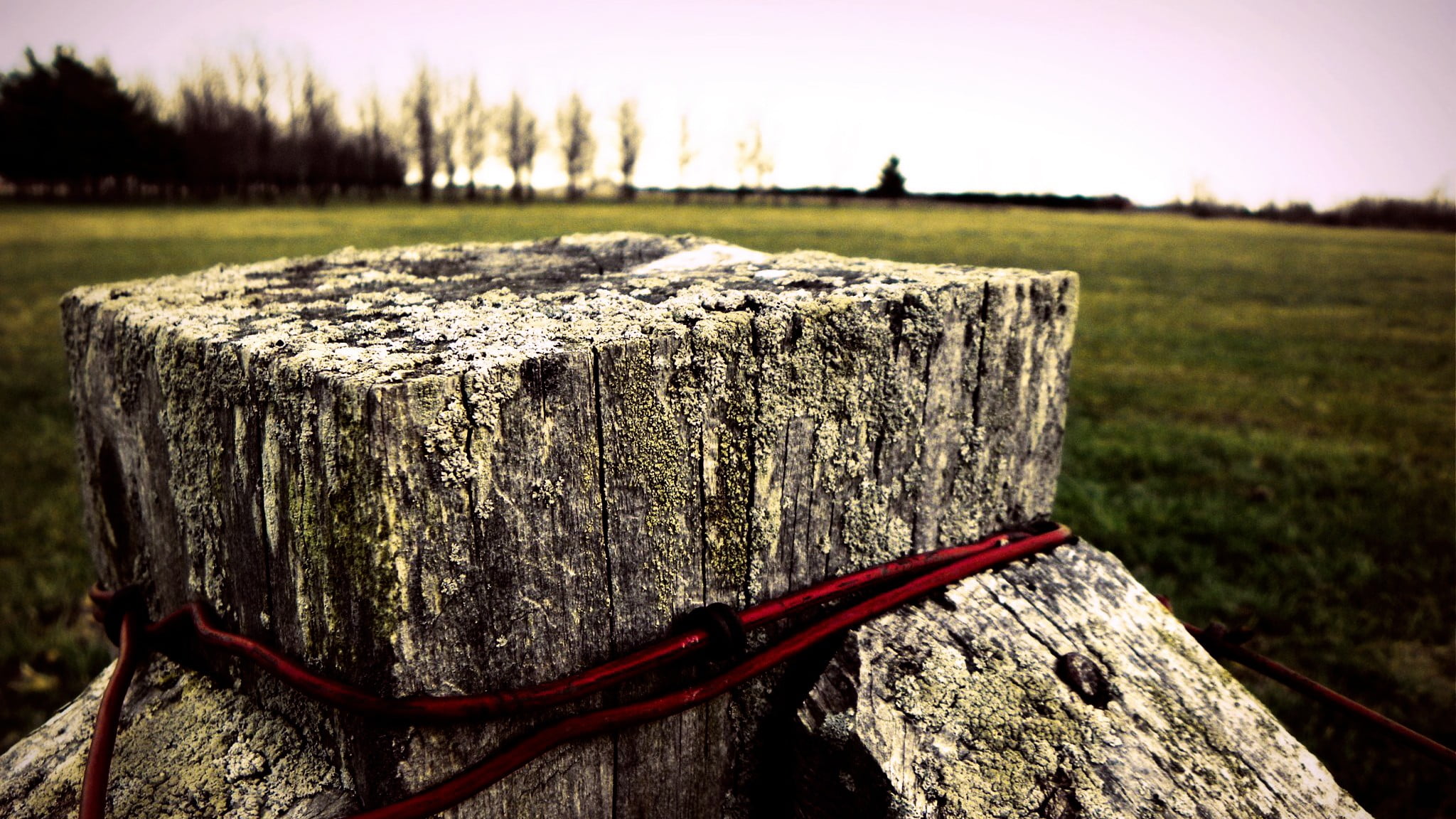 wooden post, nature, depth of field, wood - material, brown, textured, tree, barrier, outdoors, 1080P, field, bench, selective focus, no people, plant, HD Wallpaper