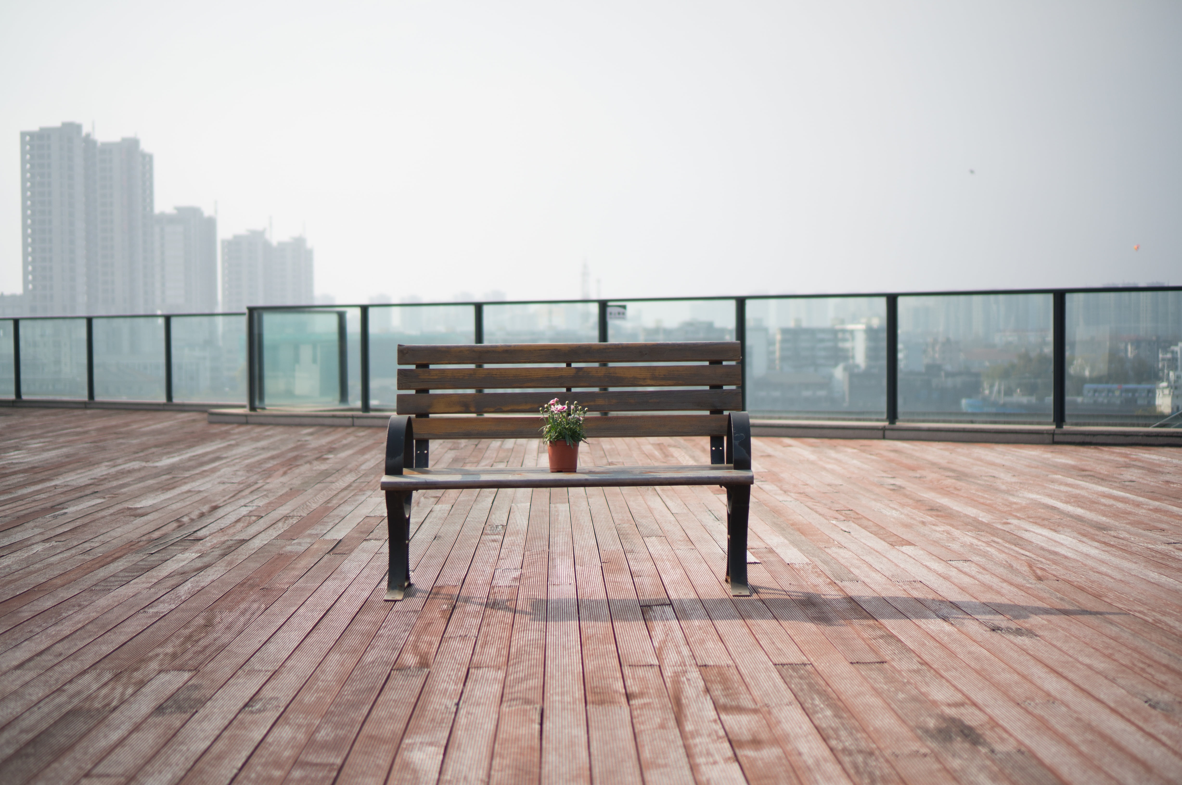 brown, cityscape, building exterior, skyscraper, empty, office building exterior, flower, bench, urban, city, apartment, wood - Material, flooring, outdoors, HD Wallpaper