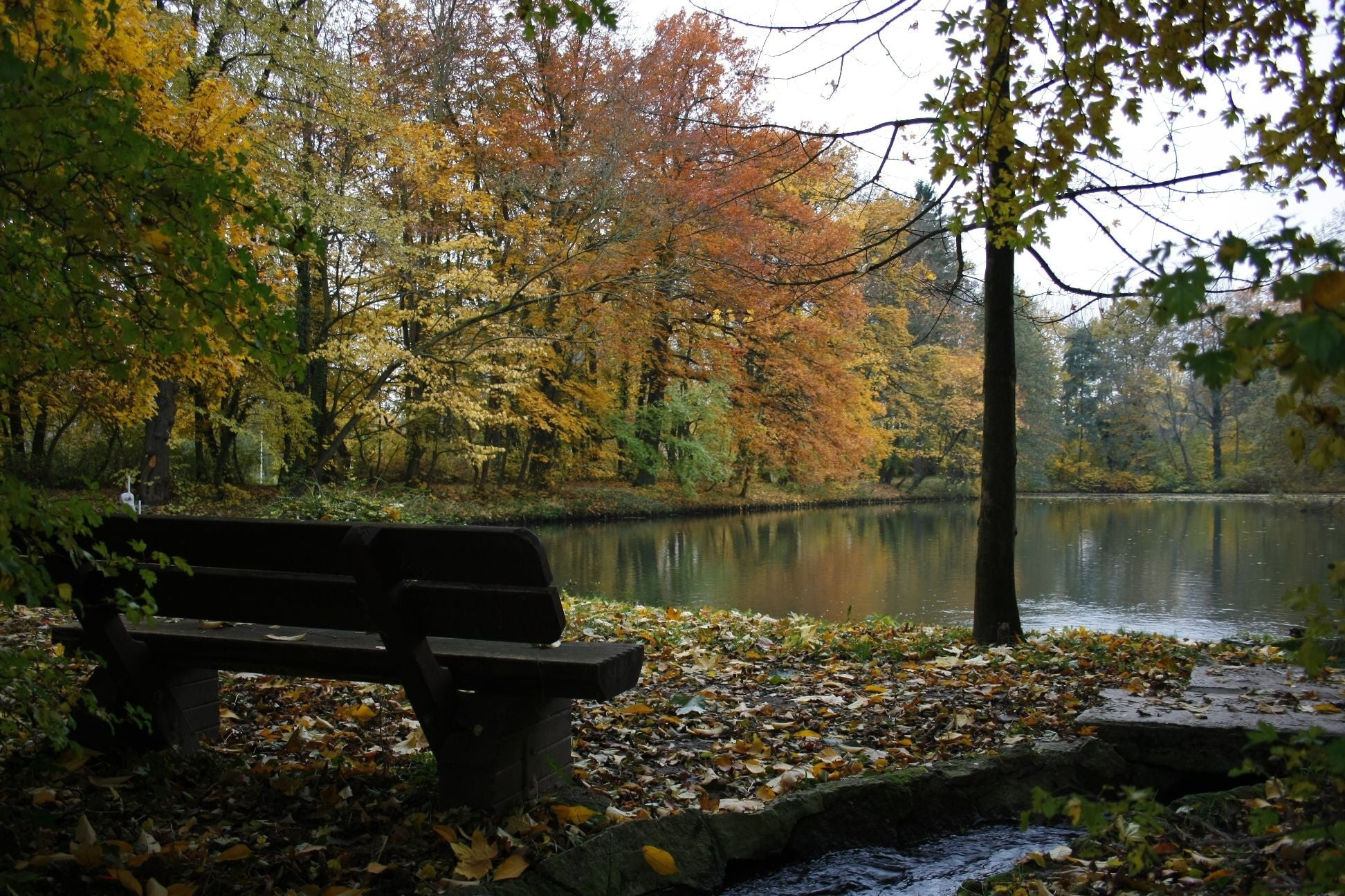 black, beauty In Nature, change, autumn collection, lush Foliage, green Color, pond, wooden, bench, river, october, tranquil Scene, scenics, vibrant Color, HD Wallpaper