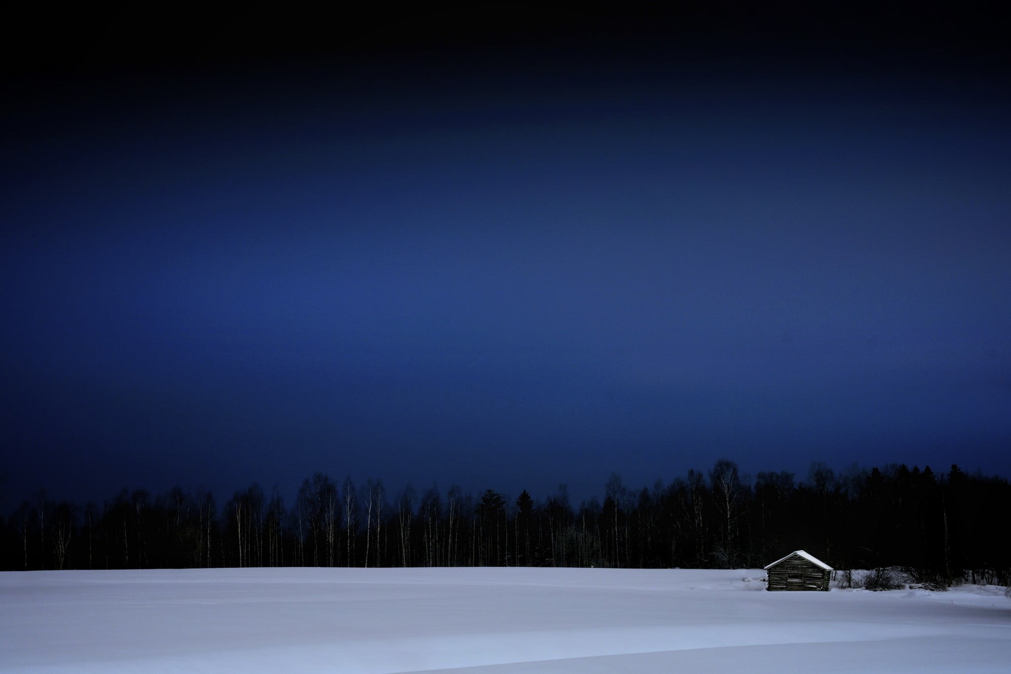 environment, winter, frozen, pine tree, cold temperature, land, 1080P, tranquil scene, scenics - nature, landscape, snow, plant, dark, forest, beauty in nature, HD Wallpaper