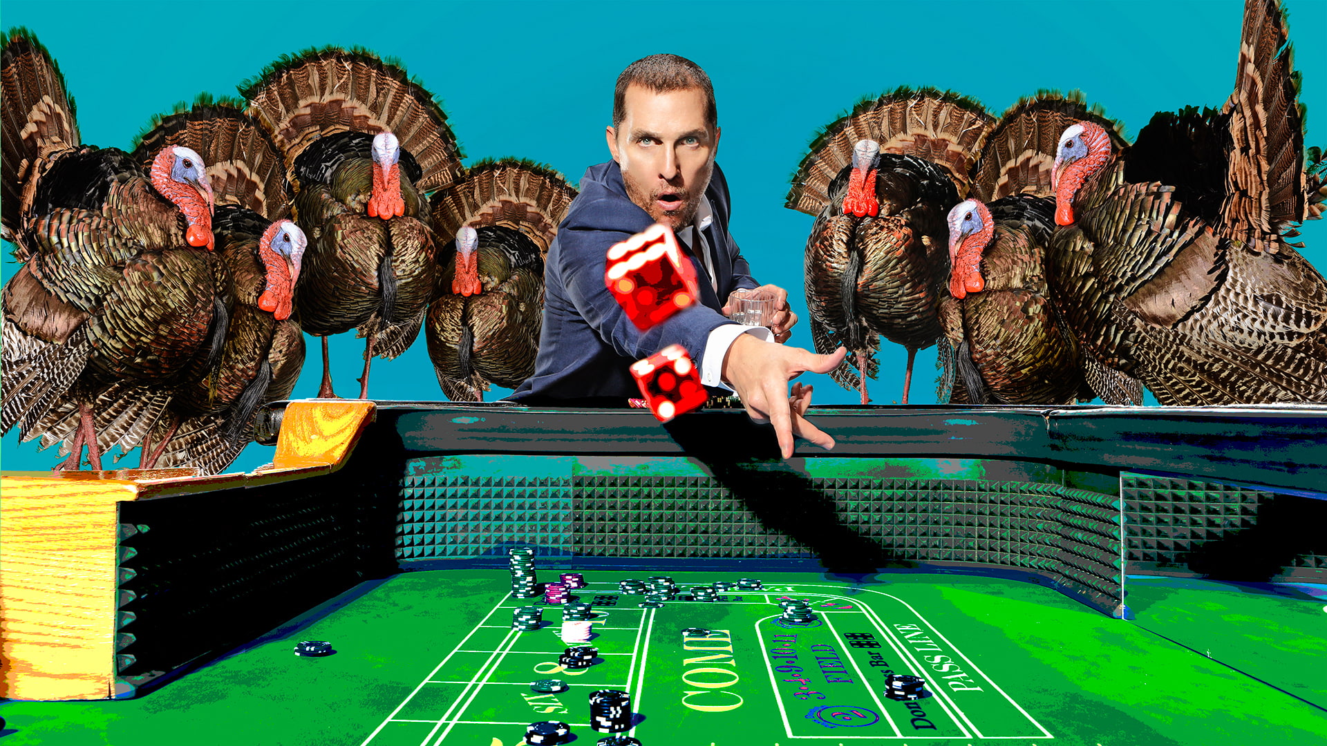 the game, actor, 1080P, the situation, humor, bones, Matthew McConaughey, turkeys, 2015, casino, chips, photographer, the excitement, Mary Ellen Matthews, HD Wallpaper
