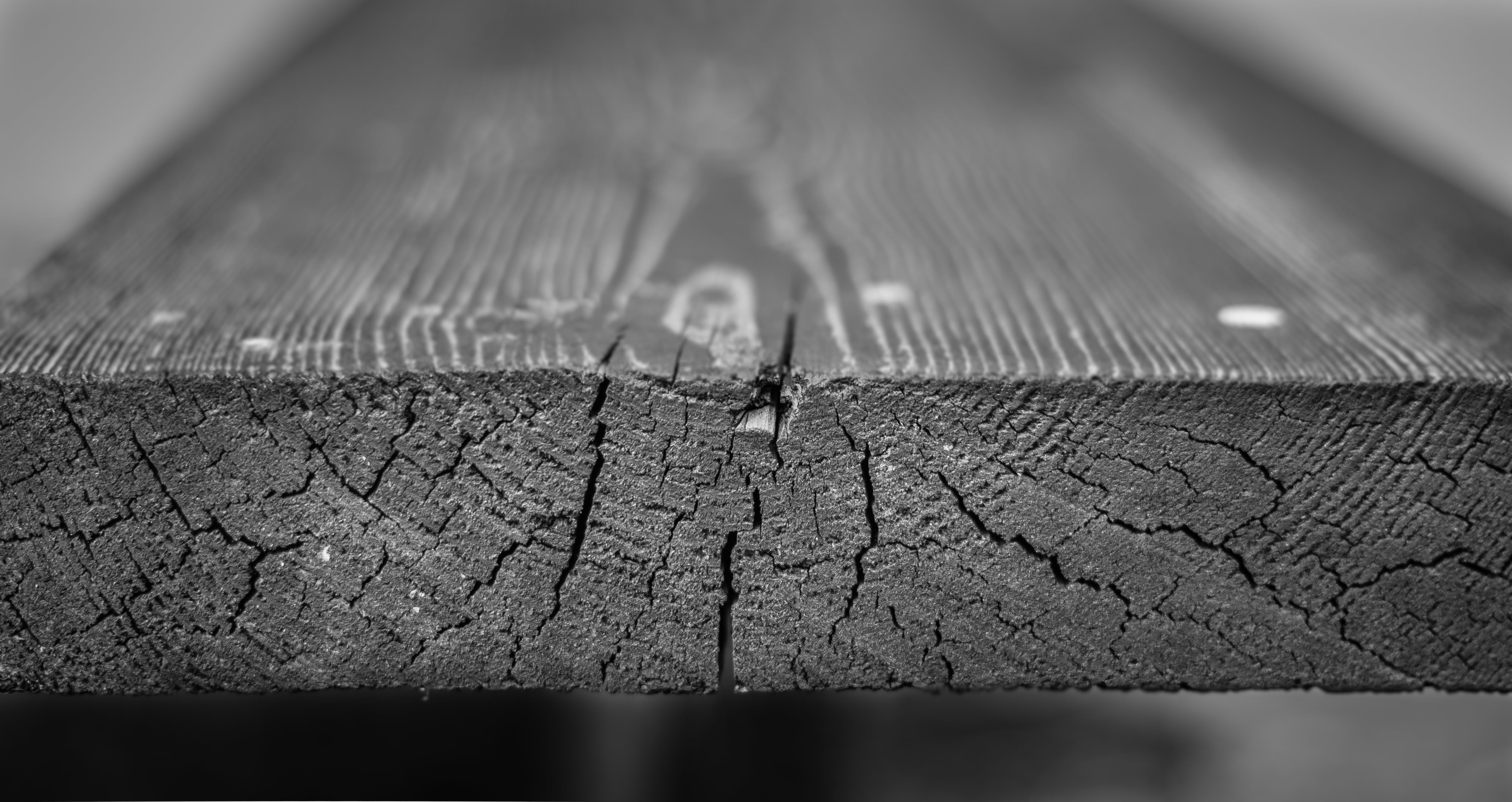 close, the depth of the, animal, battens, focus on foreground, looseness, nature, outdoors, detail, macro, one animal, nail, small, relax, close up, relaxation, HD Wallpaper
