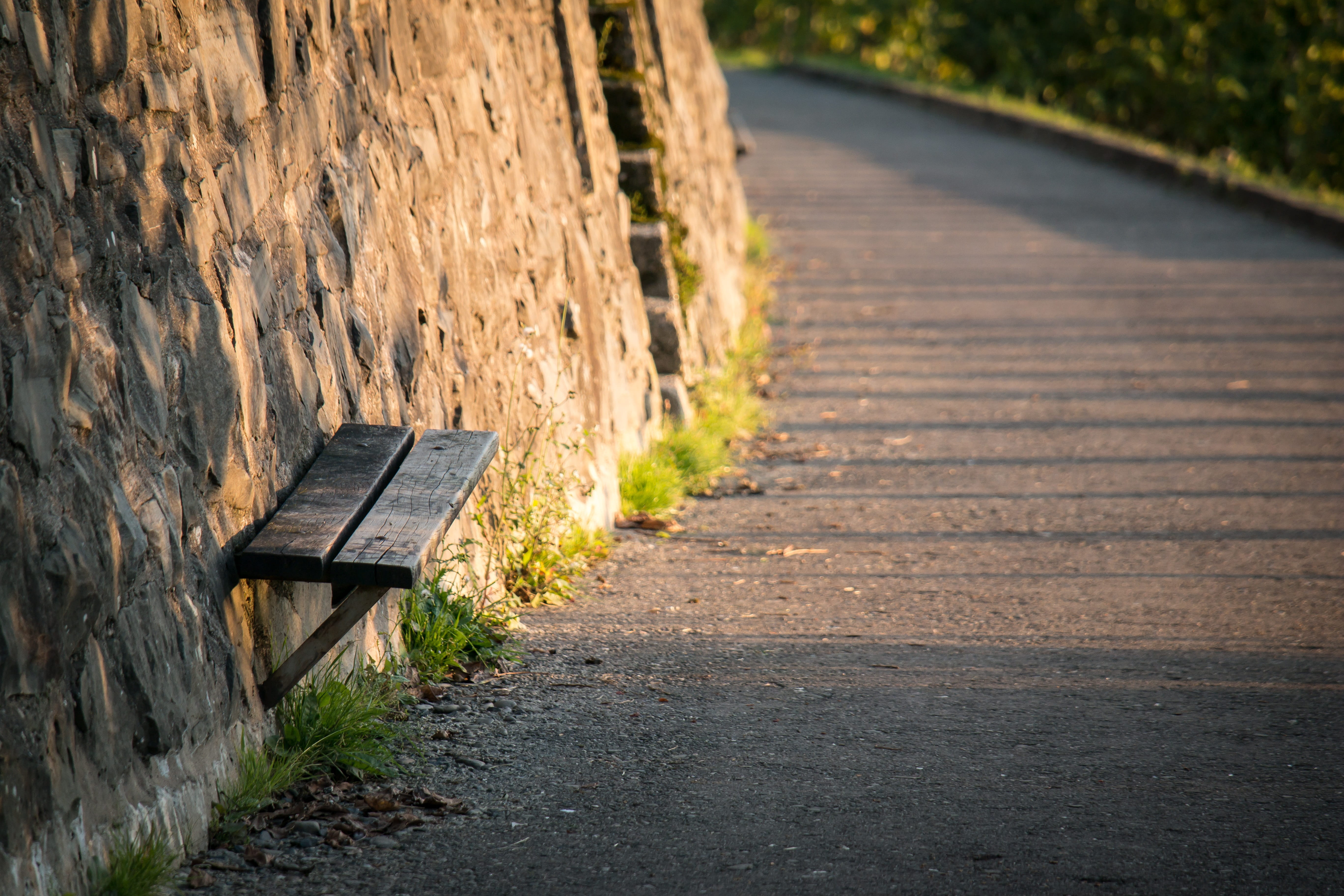 hike, sunlight, focus on foreground, diminishing perspective, 5K, day, seat, transportation, wait, recover, wood, resting place, plant, park, empty, park bench, HD Wallpaper