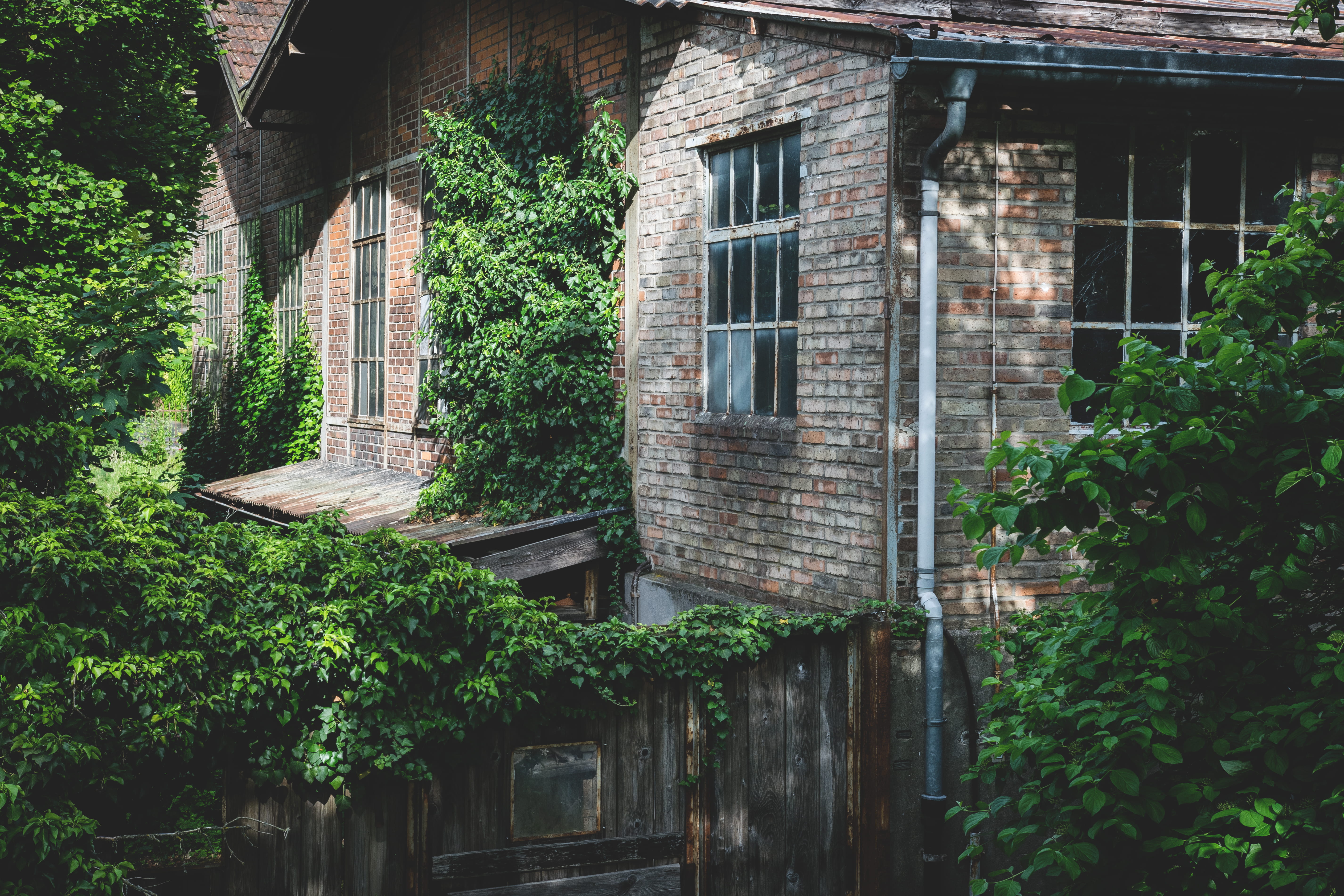 growth, garden, trees, stone wall, daylight, gray, house, door, window, outdoors, near, creeper plant, exterior, green color, windows, day, construction, HD Wallpaper