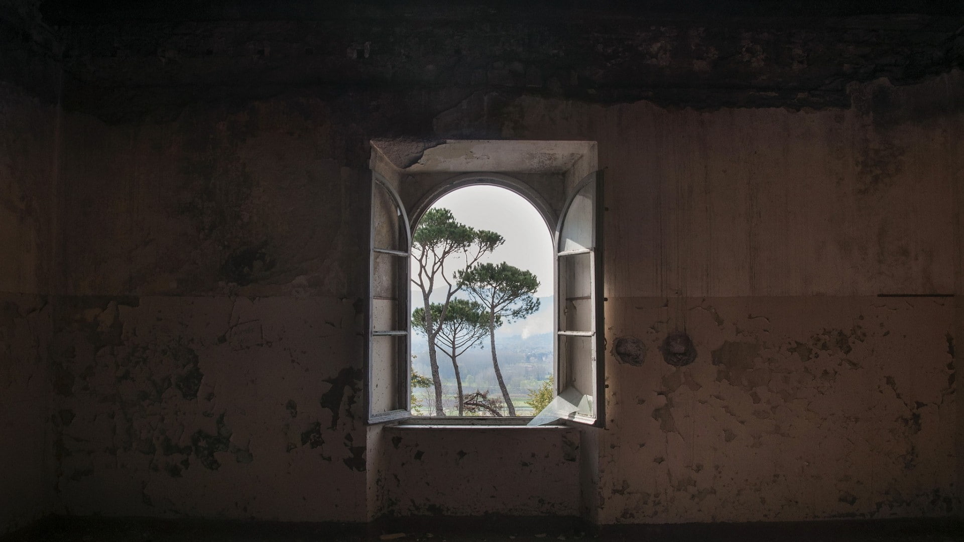 trees, window, nature, abandoned, sunlight, wall, interior, building, landscape, broken glass, 1080P, HD Wallpaper