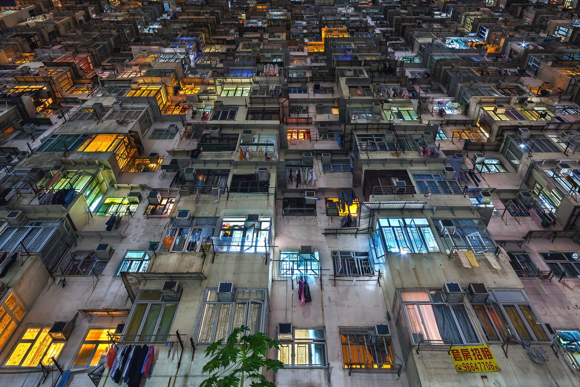 Yick Cheong, 1080P, Hong Kong, Buildings, HD Wallpaper