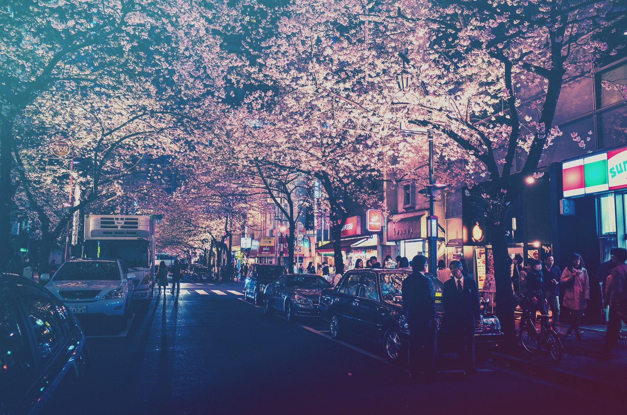 cars, filter, light, 2048x1357, people, city, street, black, lights, 1080P, street light, trees, blossom, japan, cherry blossom, cherry, HD Wallpaper