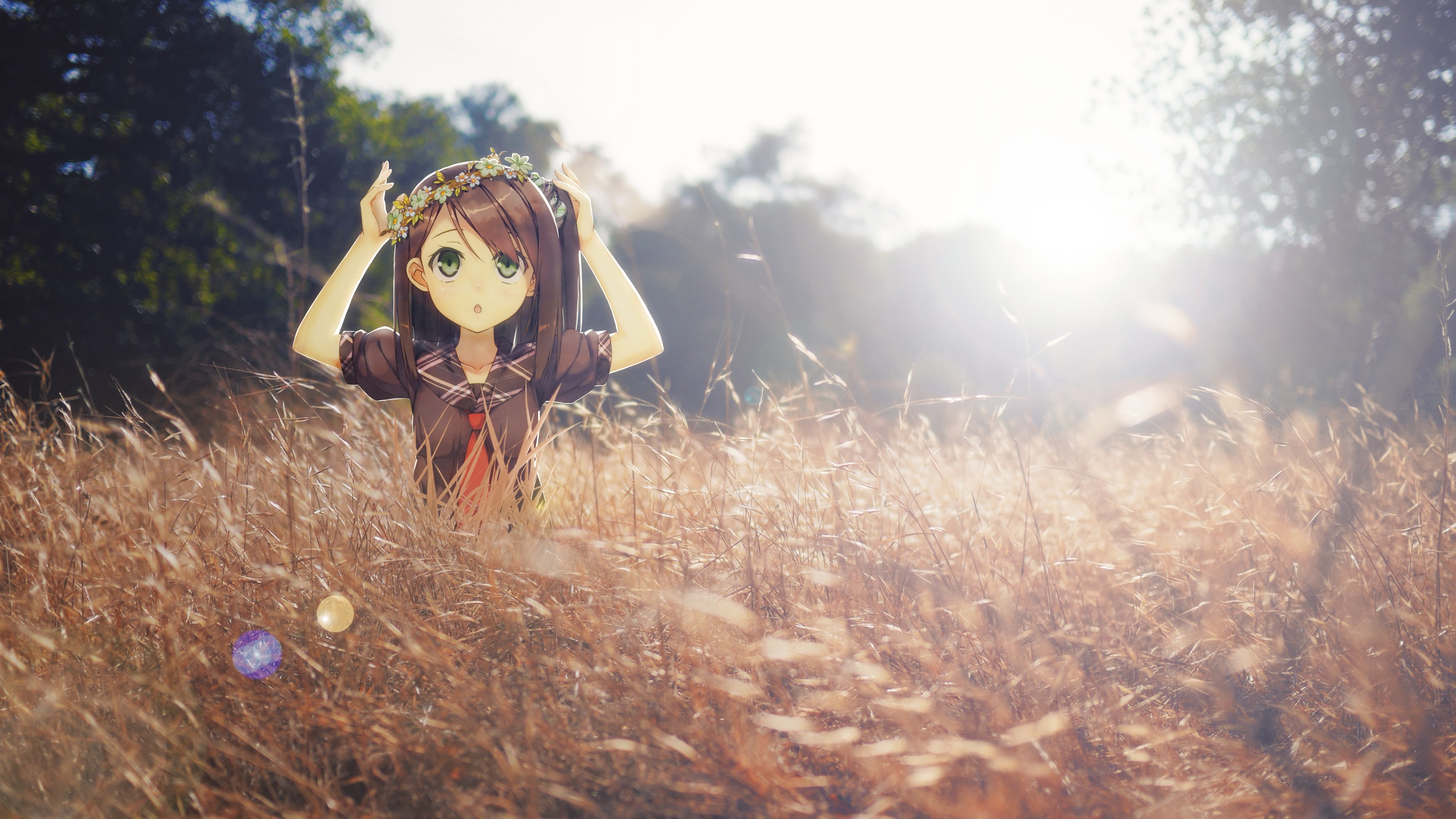 sun rays, Kantoku, grass, 4K, anime girls, schoolgirl, HD Wallpaper