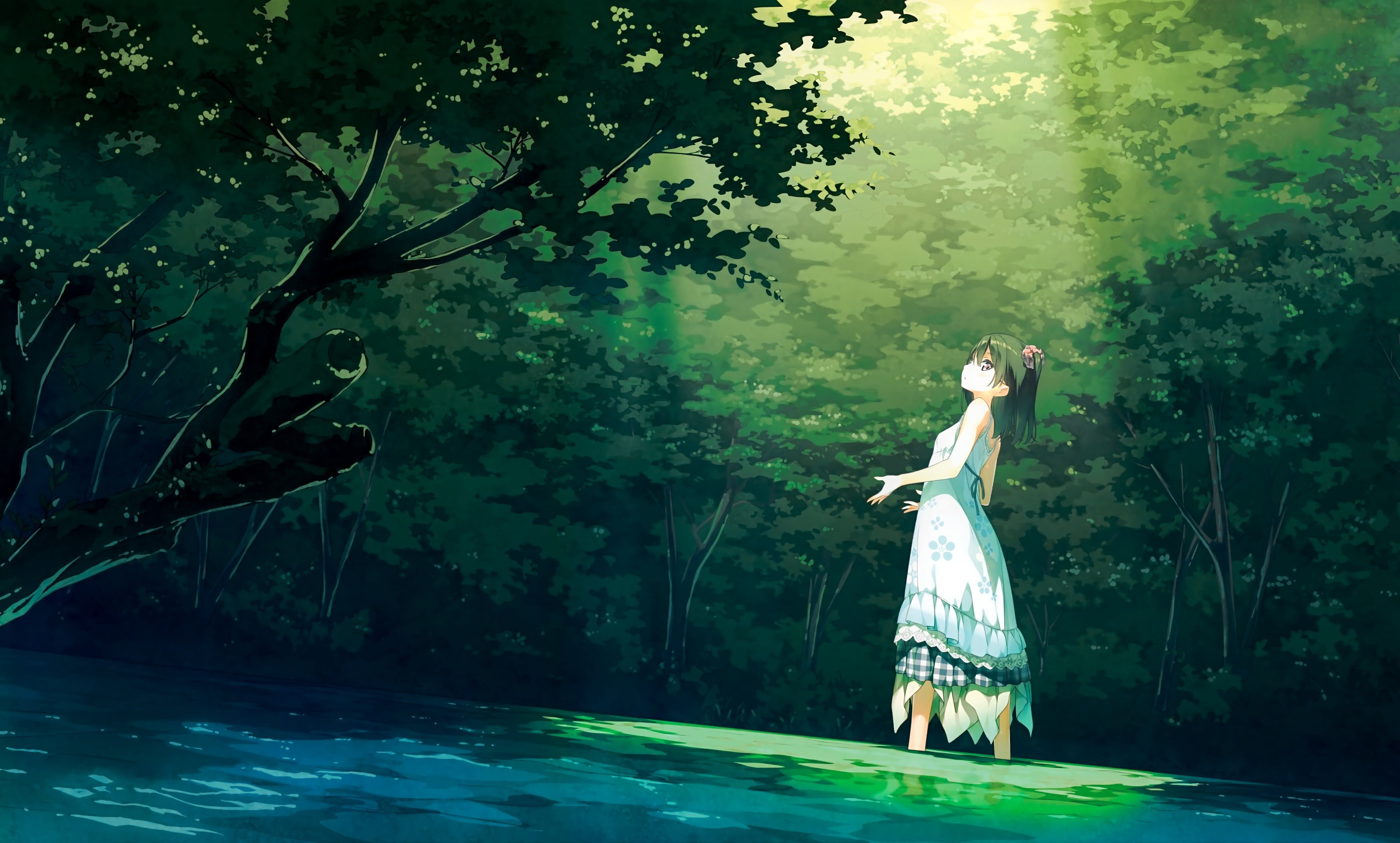 outdoors, young adult, real people, adult, full length, water, plant, Shizuku (Kantoku), forest, white dress, black hair, beautiful woman, lifestyles, trees, HD Wallpaper