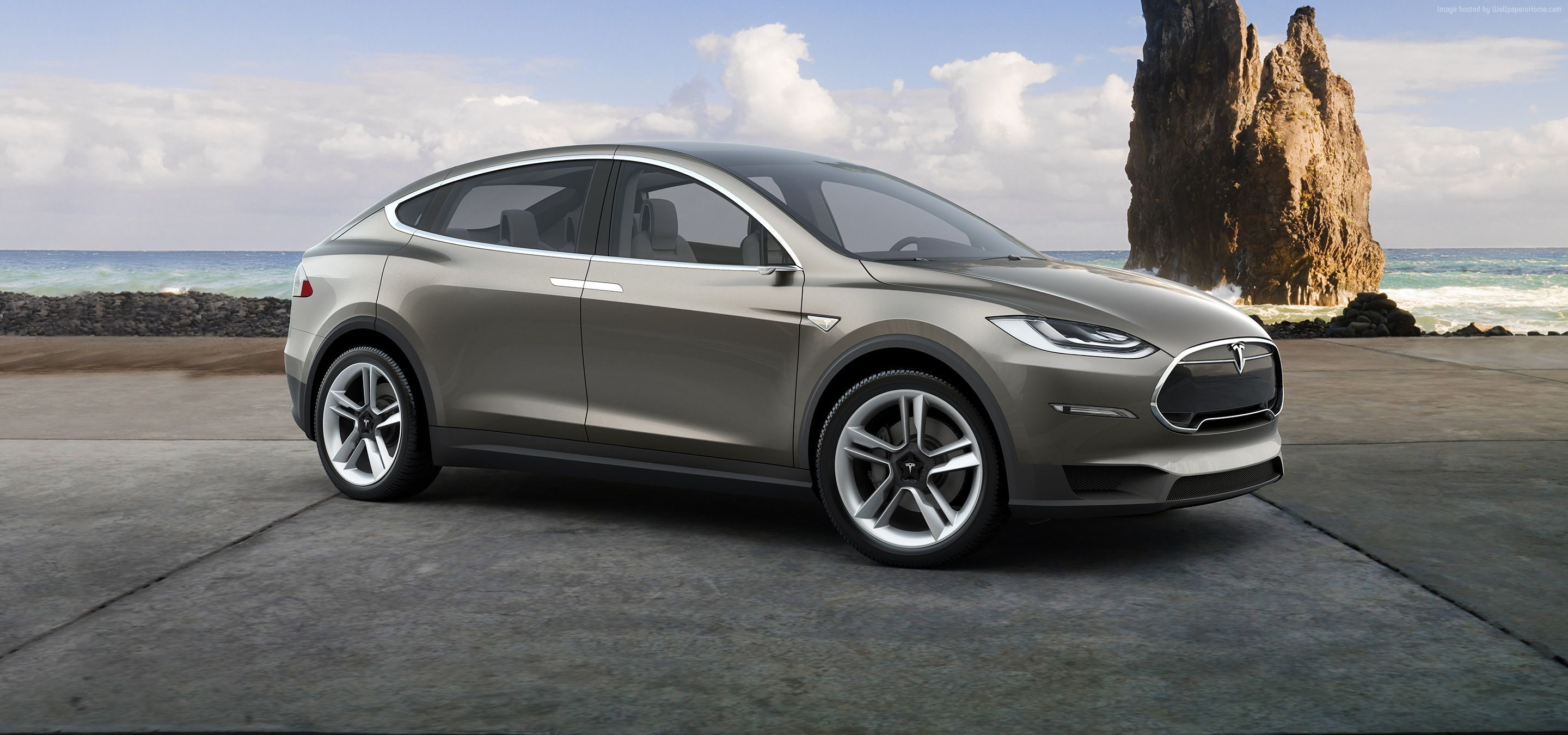 land, transportation, tree trunk, Tesla model x, journey, sky, trunk, suv, motor vehicle, nature, silver colored, electric cars, wheel, mode of transportation, HD Wallpaper