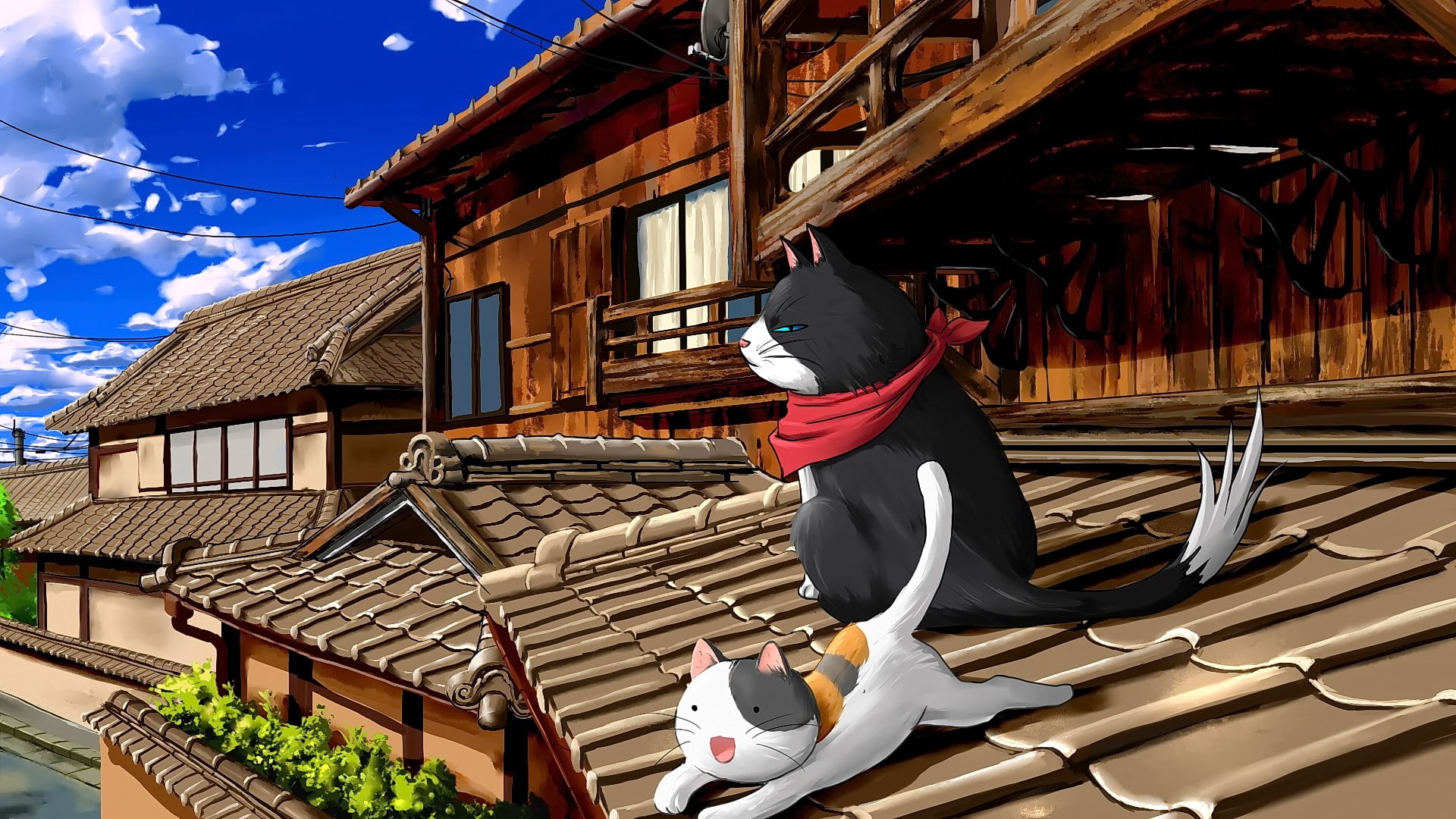 sky, clothing, house, real people, sunlight, nature, 1080P, building, anime, roof, building exterior, lifestyles, roof tile, architecture, cat, outdoors, HD Wallpaper