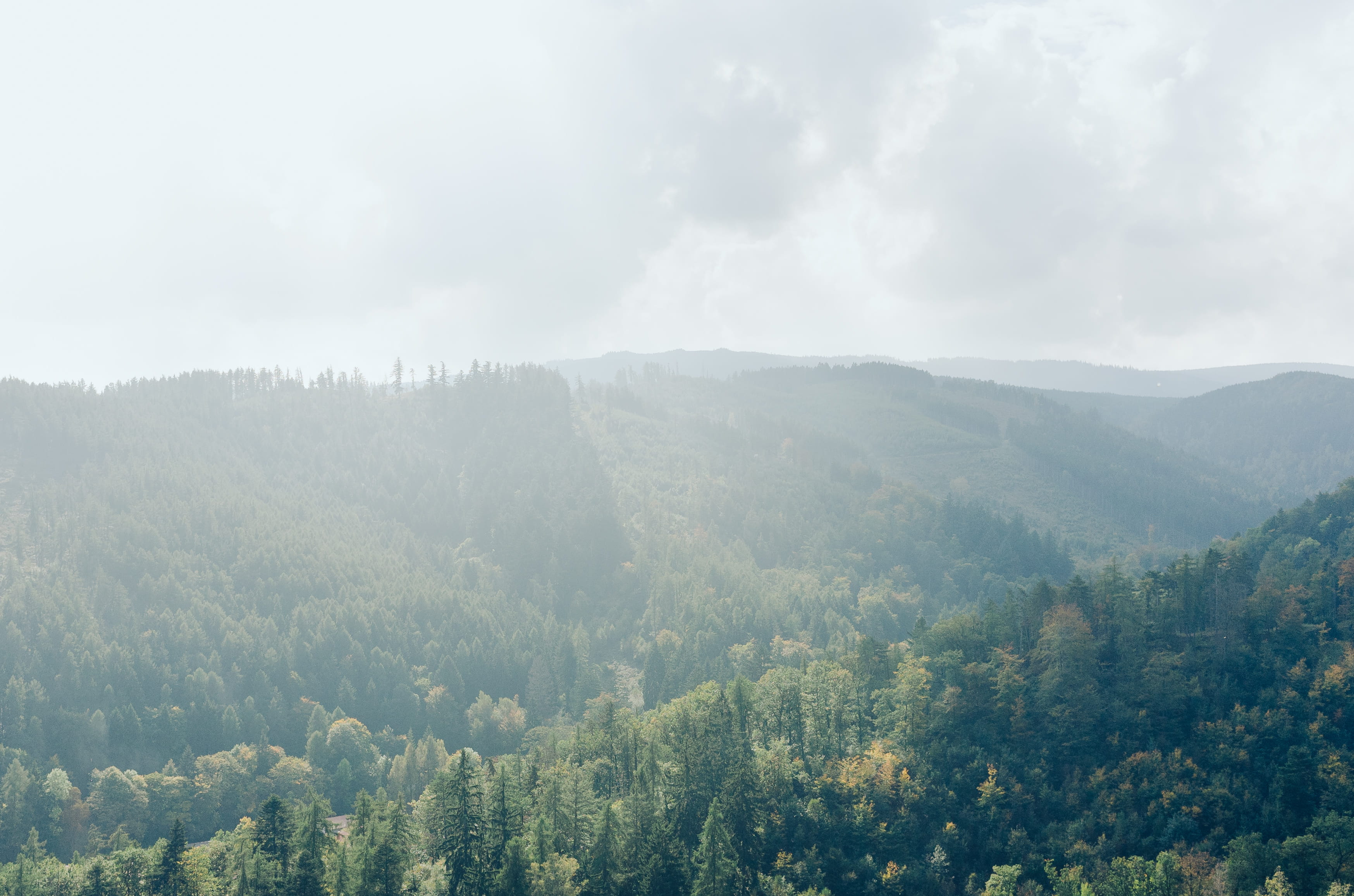 scene, natural, trees, plants, trip, cloud - sky, land, highlands, scenics - nature, journey, leaf, moor, wet, raised, summer, beauty in nature, tranquility, HD Wallpaper