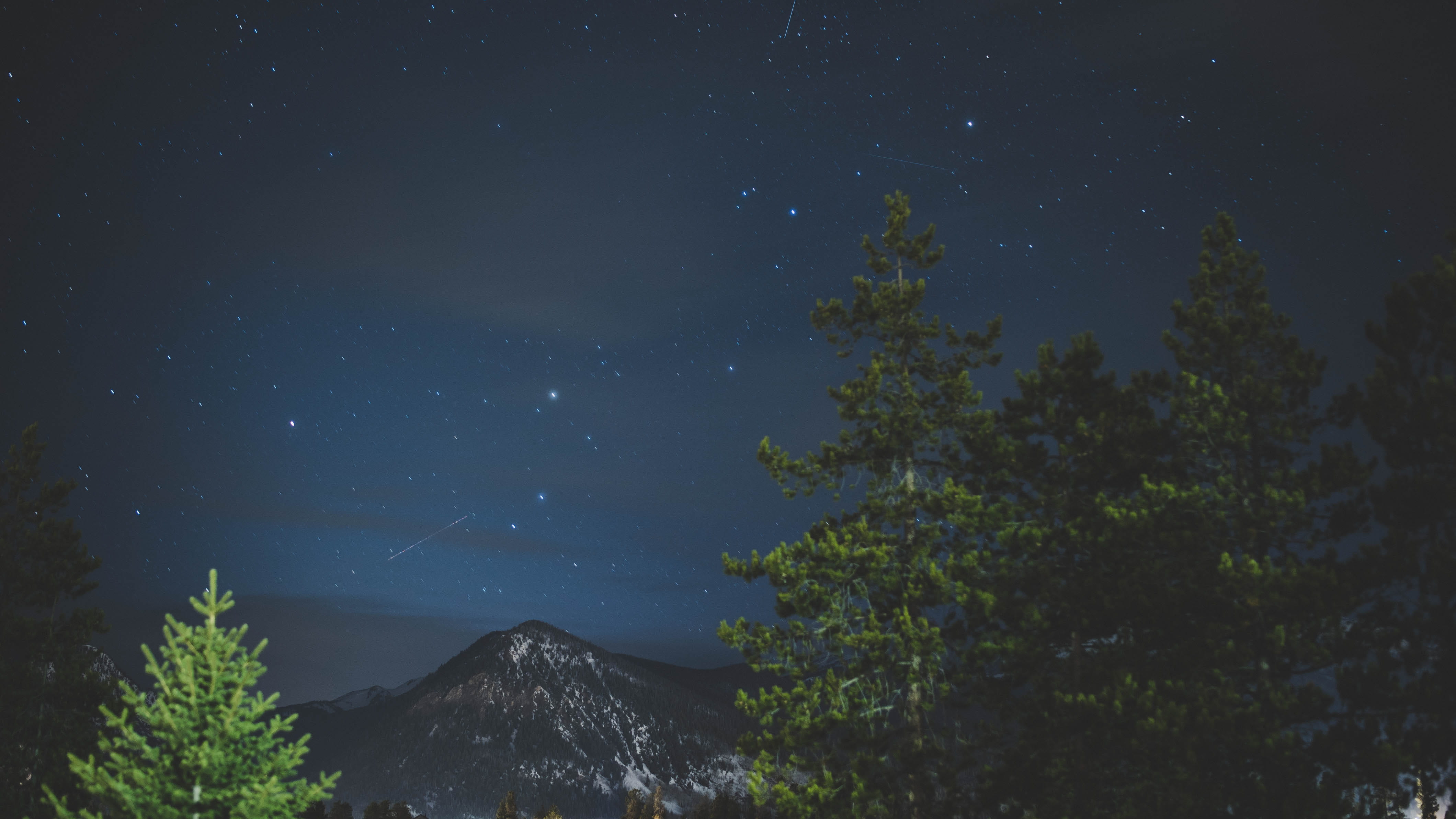 night, space, trees, astronomy, nature, sky, star, no People, dark, outdoors, landscape, galaxy, growth, plant, moon, constellation, scenics - nature, low angle view, HD Wallpaper