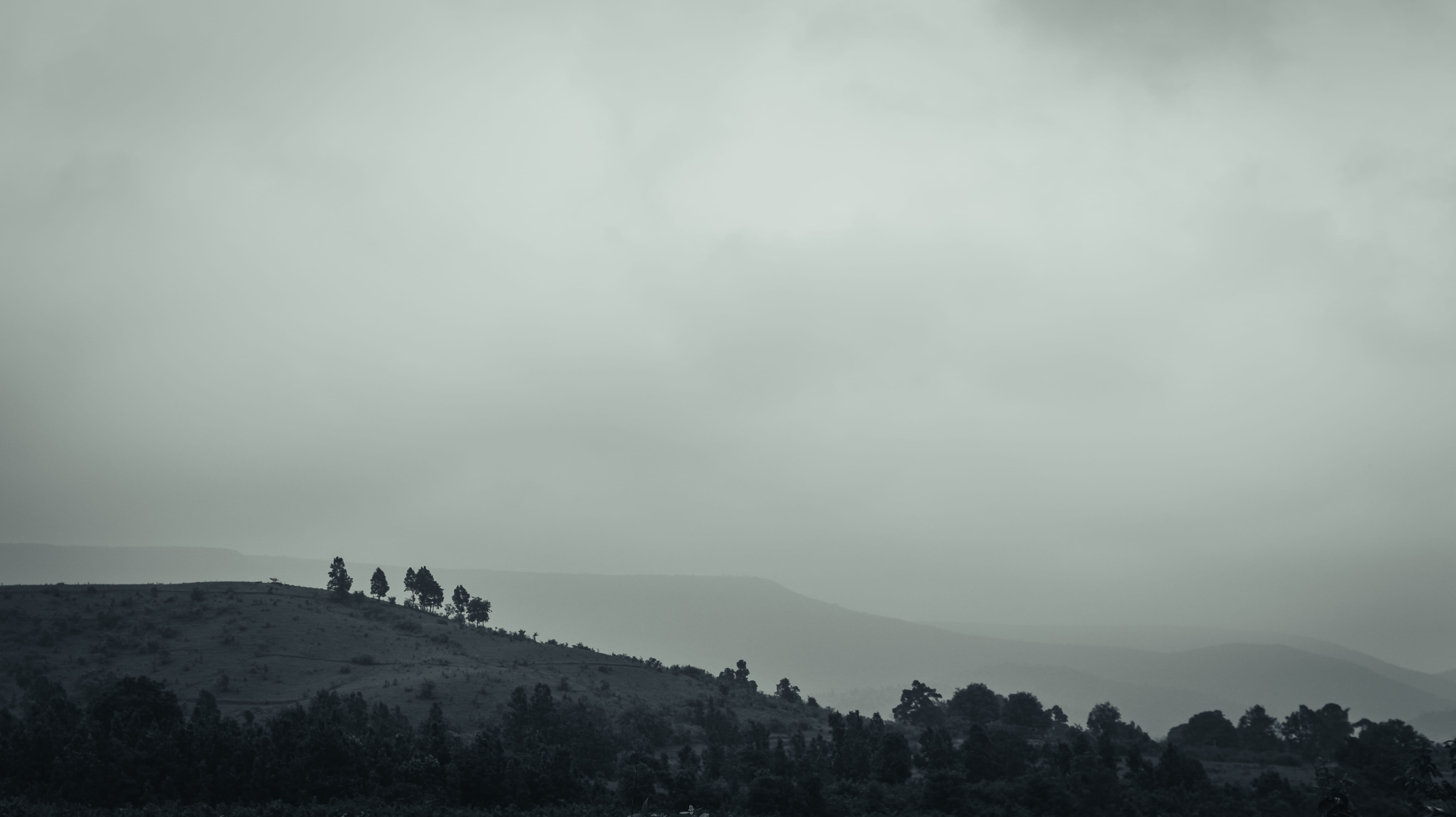 tranquil scene, non-urban scene, environment, india, nature, tree, beauty in nature, unrecognizable person, sky, 5K, real people, odisha, mountain, silhouette, HD Wallpaper