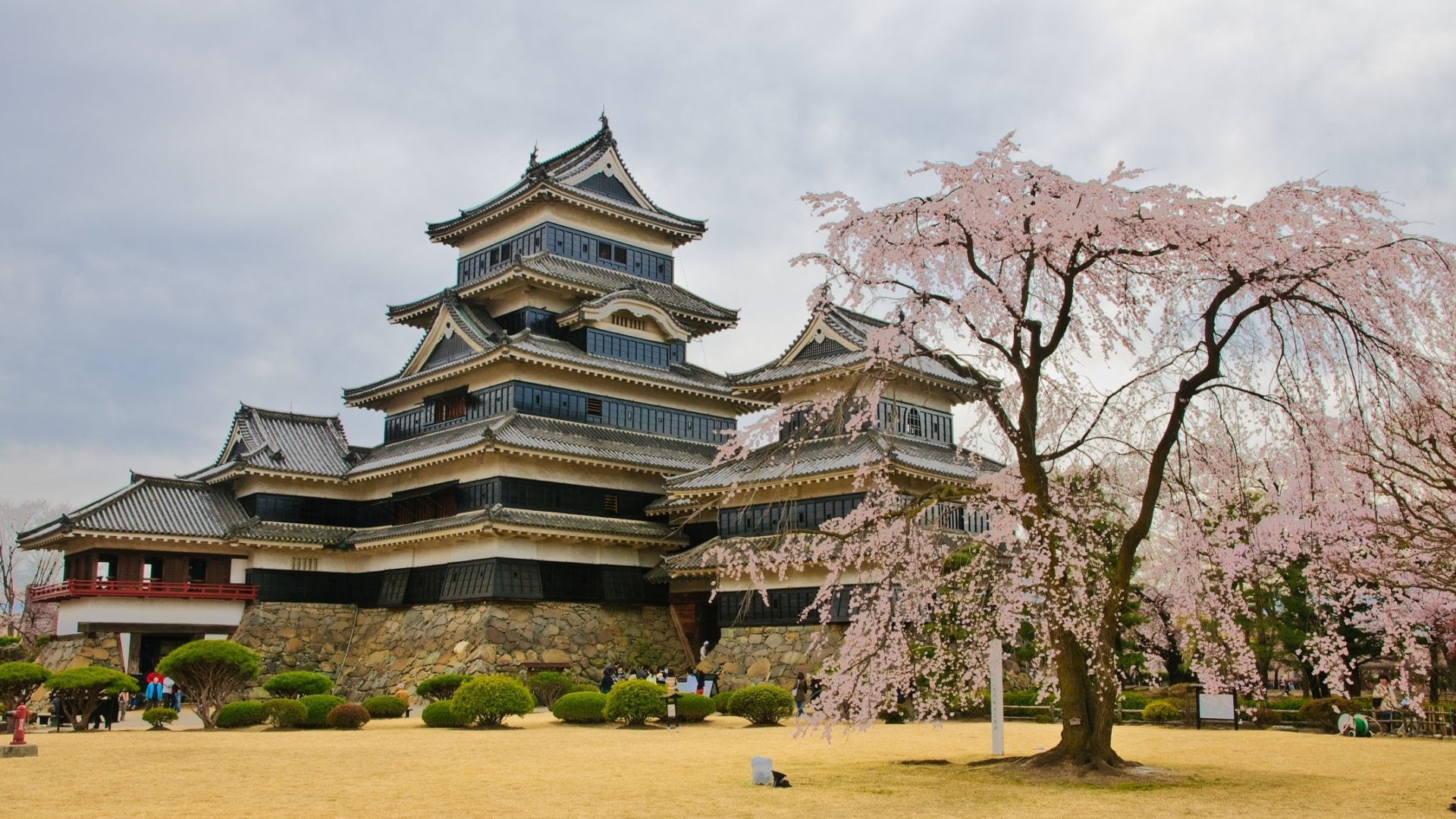Matsumoto Castle, 1080P, Castles, HD Wallpaper