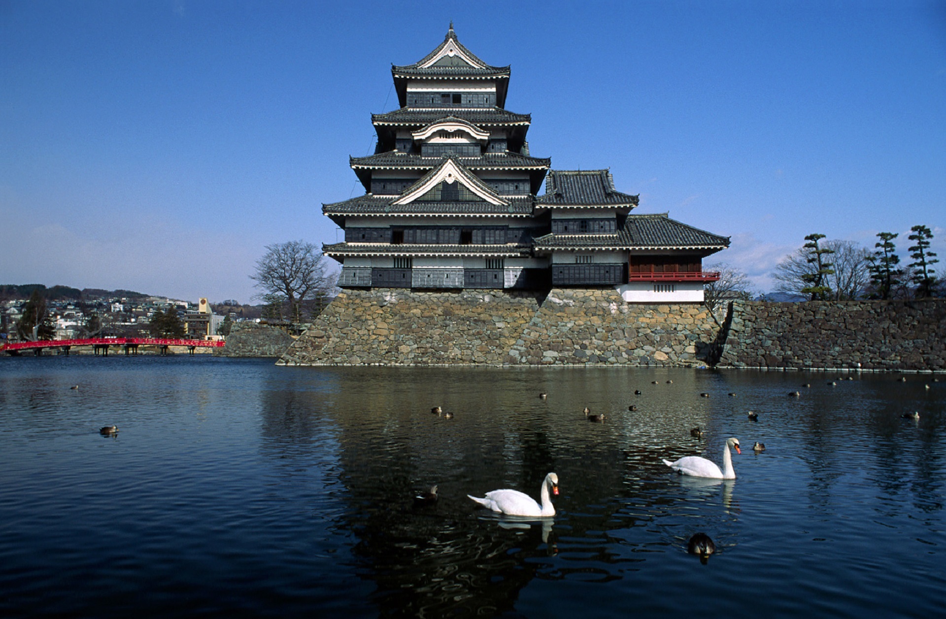 duck, swan, animal wildlife, matsumoto, swimming, two, attraction, famous Place, day, building, animals in the wild, architecture, 1080P, built structure, HD Wallpaper