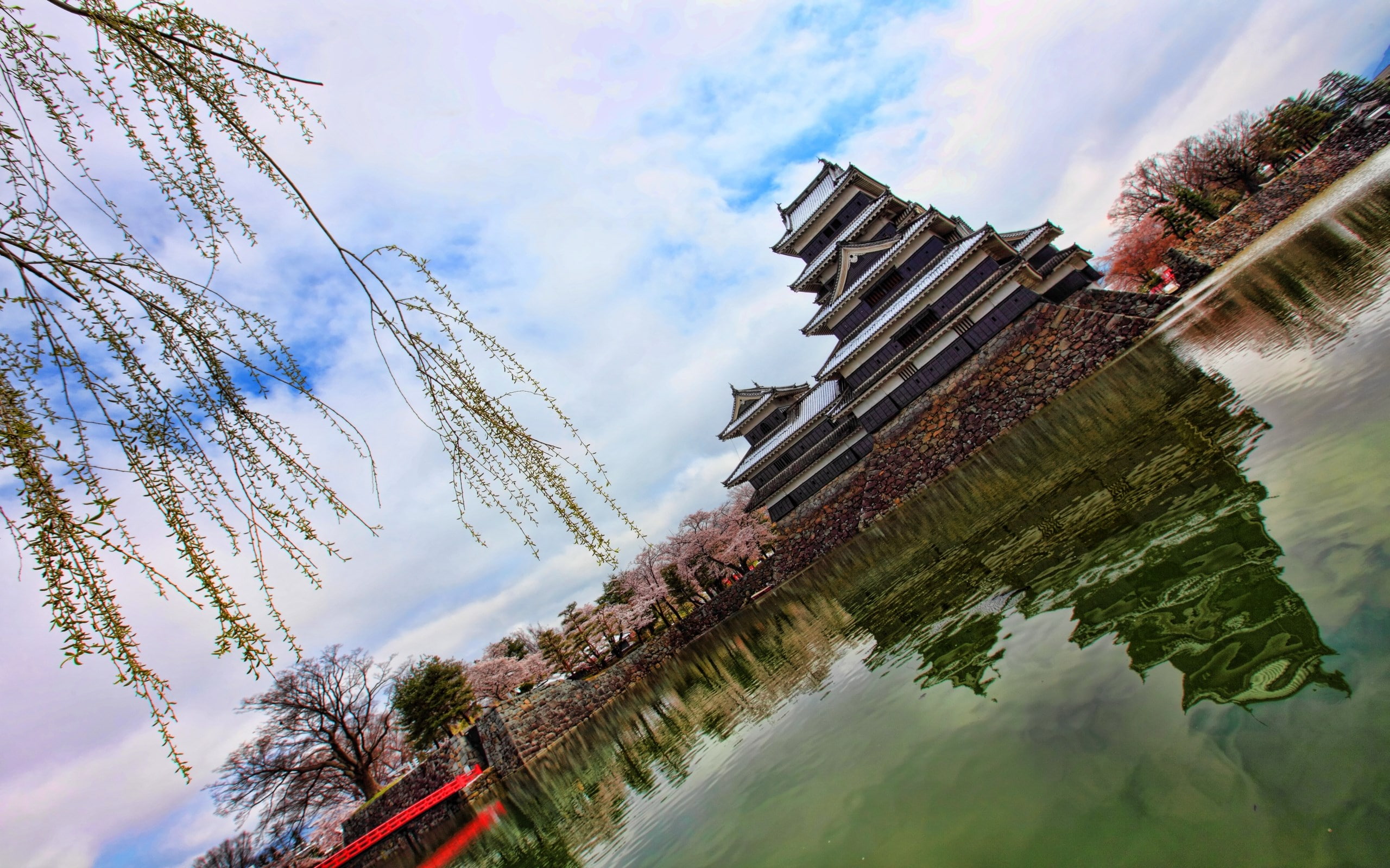 building exterior, plant, built structure, low angle view, sky, building, religion, history, travel, tree, architecture, 2K, belief, no people, the past, HD Wallpaper