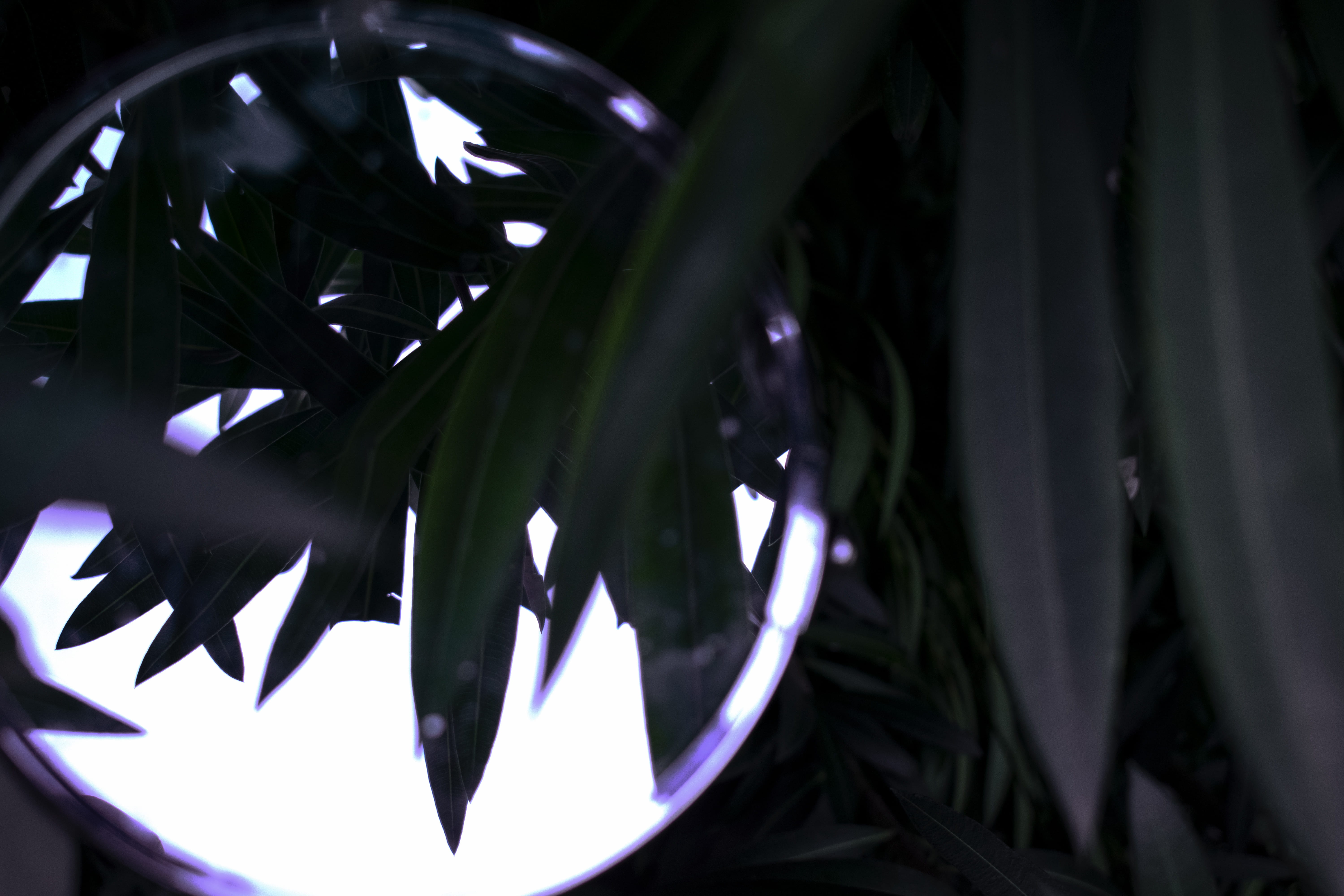 luxury, light, close-up, plant, legend of zelda, bubble, green, halo, wristwatch, hip, overwatch, wheel, magician, transparent, night life, indoors, technology, HD Wallpaper